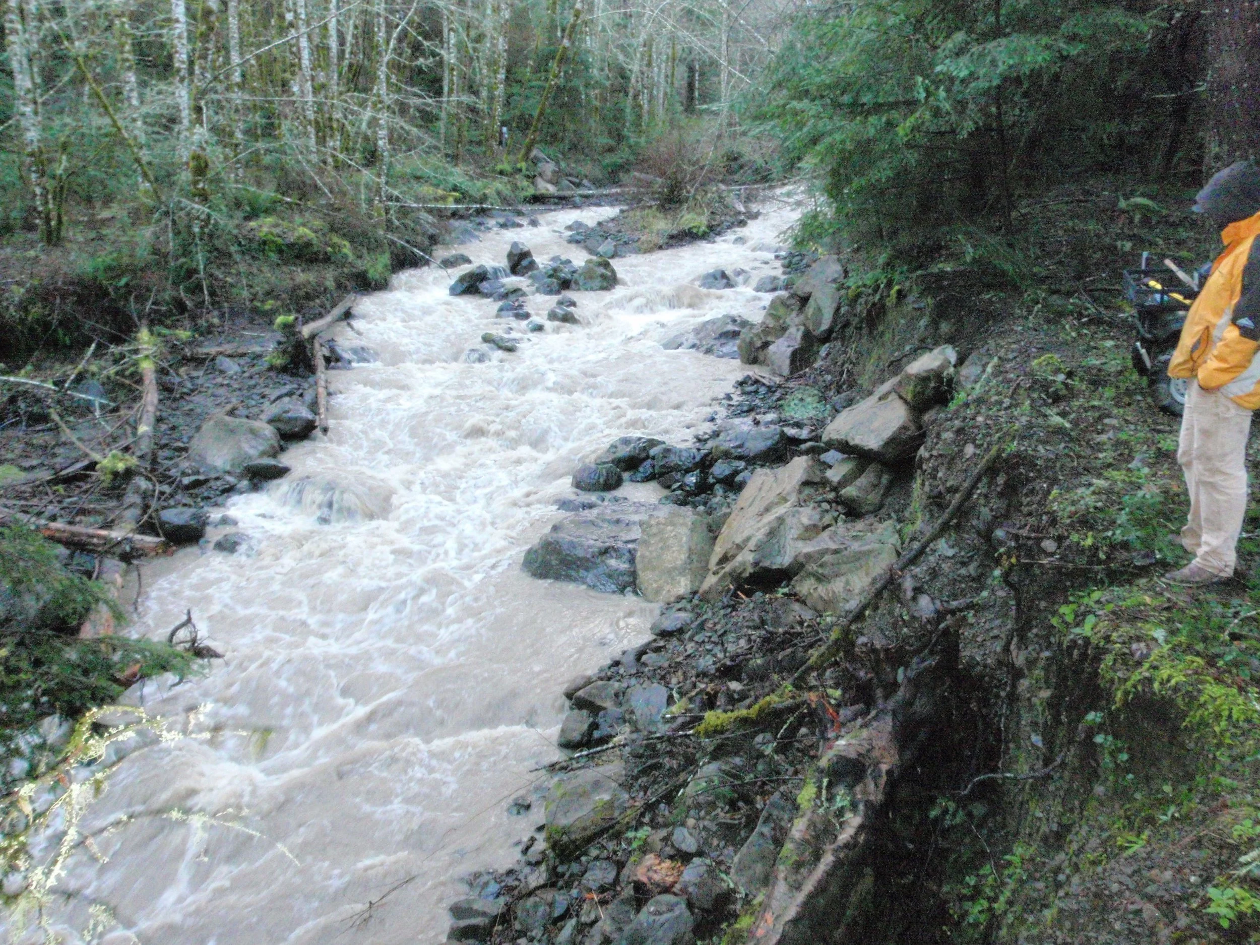 Person standing on a rocky riverbank wearing a yellow jacket, surrounded by trees and rocks, next to a fast-moving river.