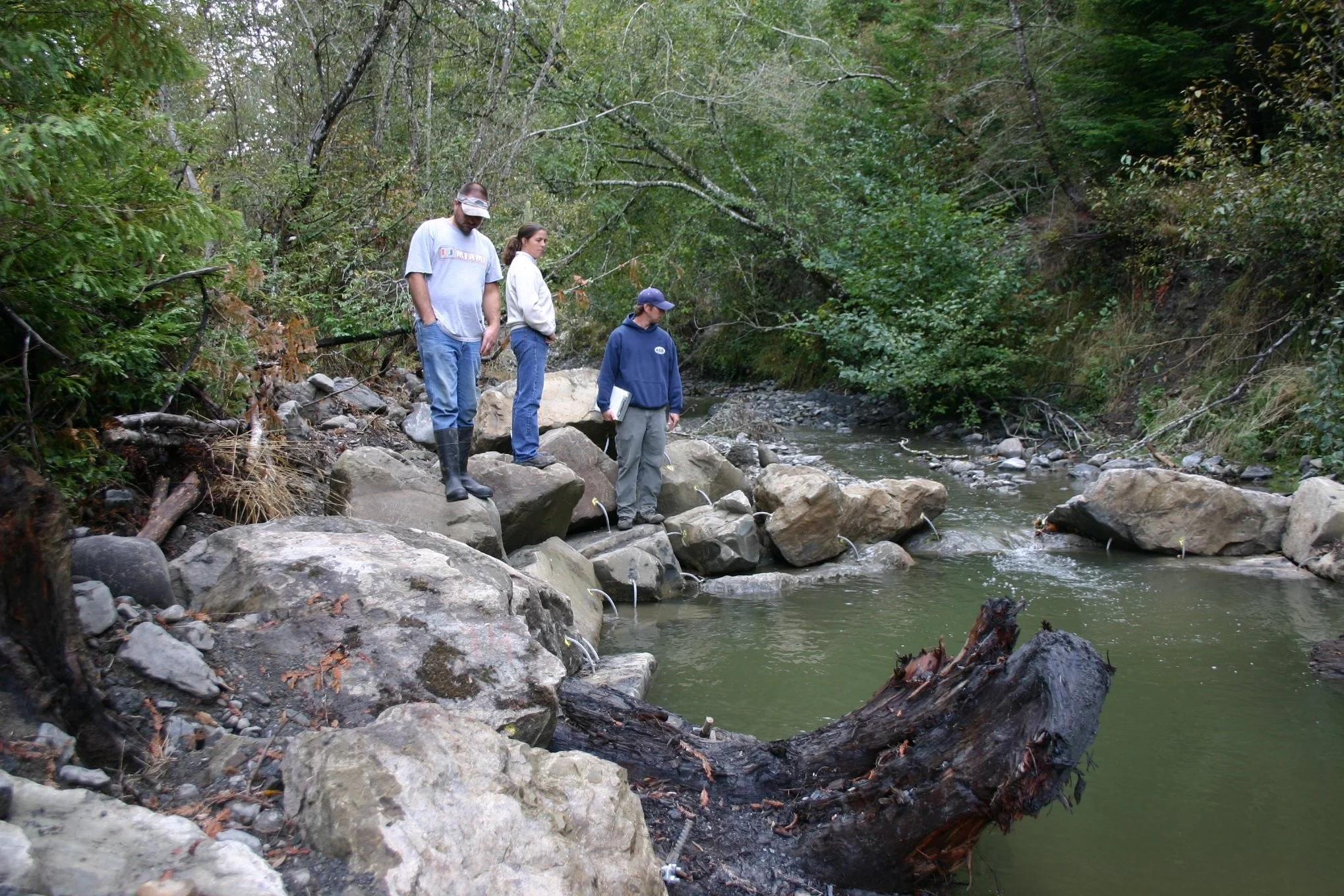 Three people standing on rocks near a creek in a forested area, examining the water.