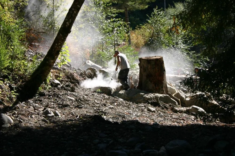A person working outdoors in a wooded area, with steam or mist rising around rocky terrain, surrounded by trees.