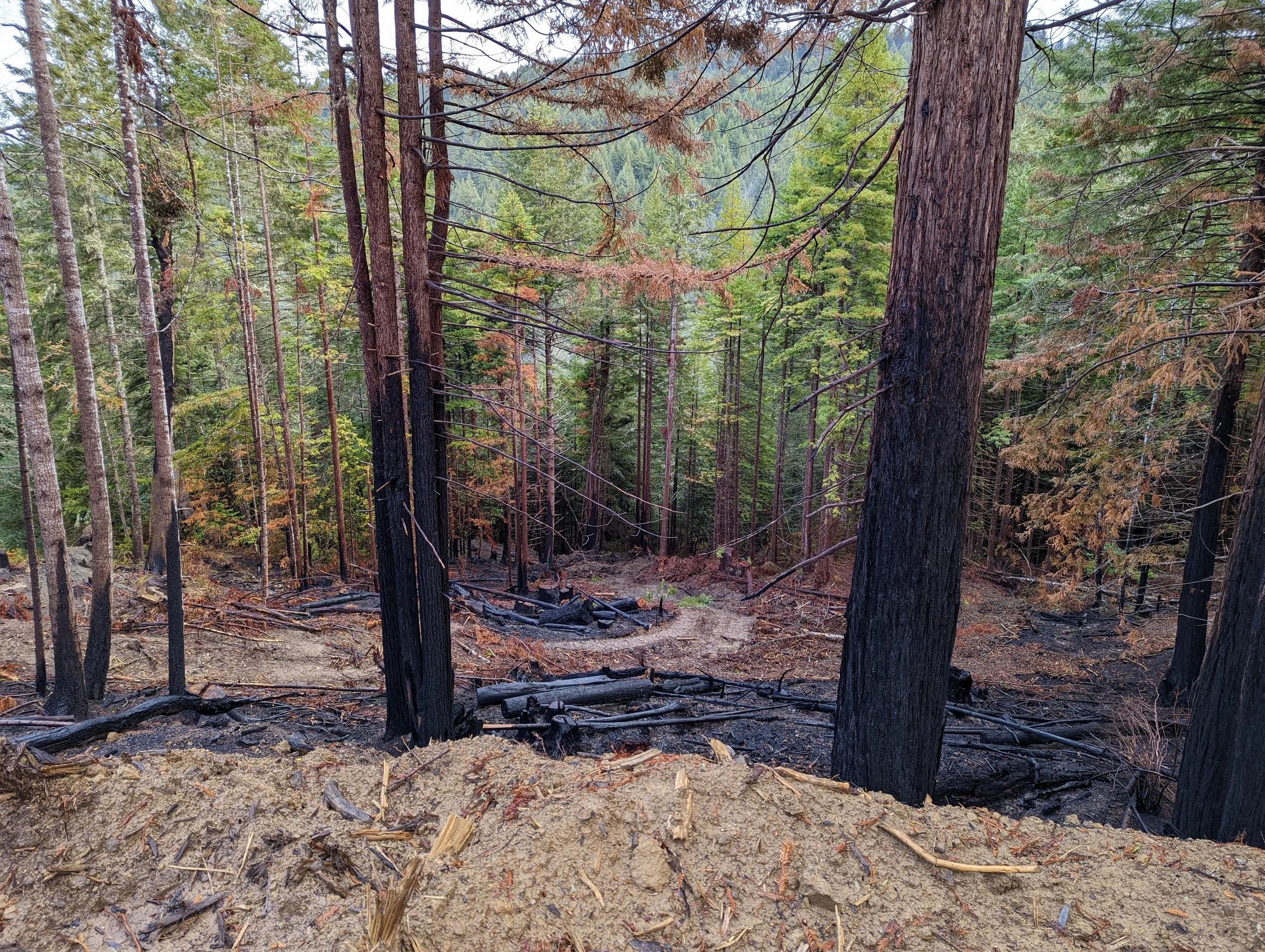 NTO 8 Middle Atwell Burn (3).jpg