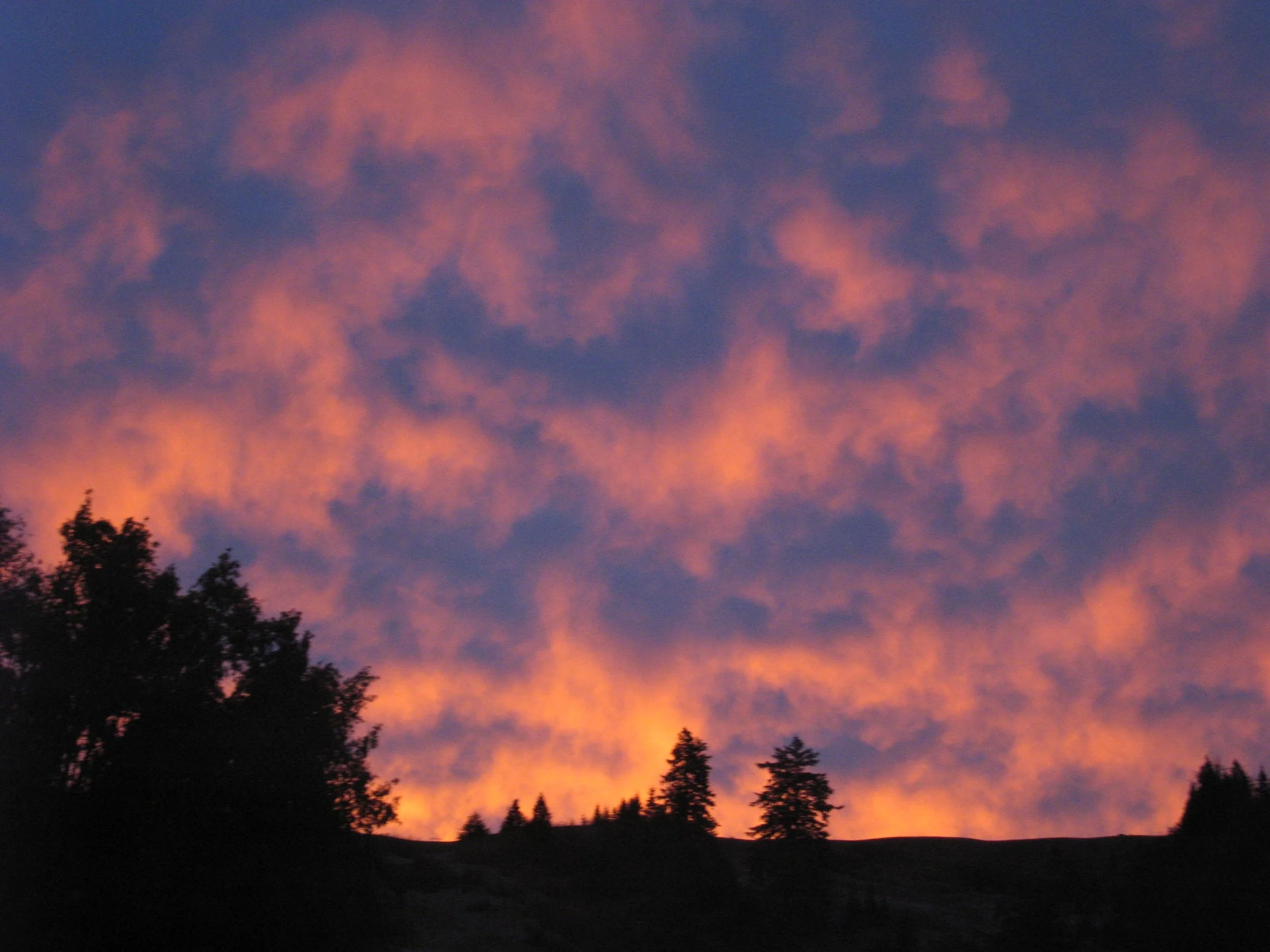 Sunset sky with pink clouds above a silhouette of trees and hills