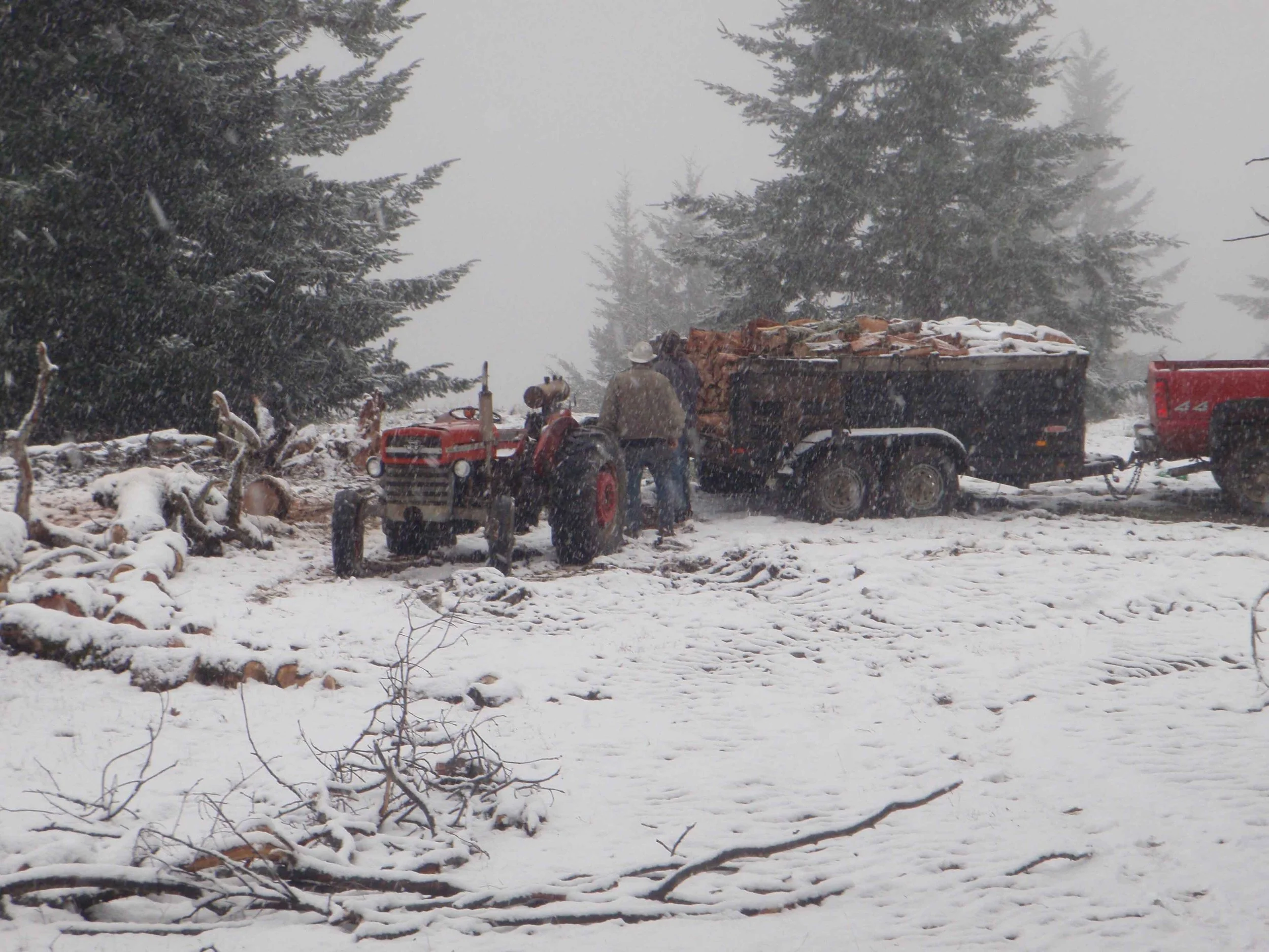 A snow-covered landscape with a tractor pulling a trailer filled with logs, and a person standing nearby. Tall trees are in the background amidst falling snow.