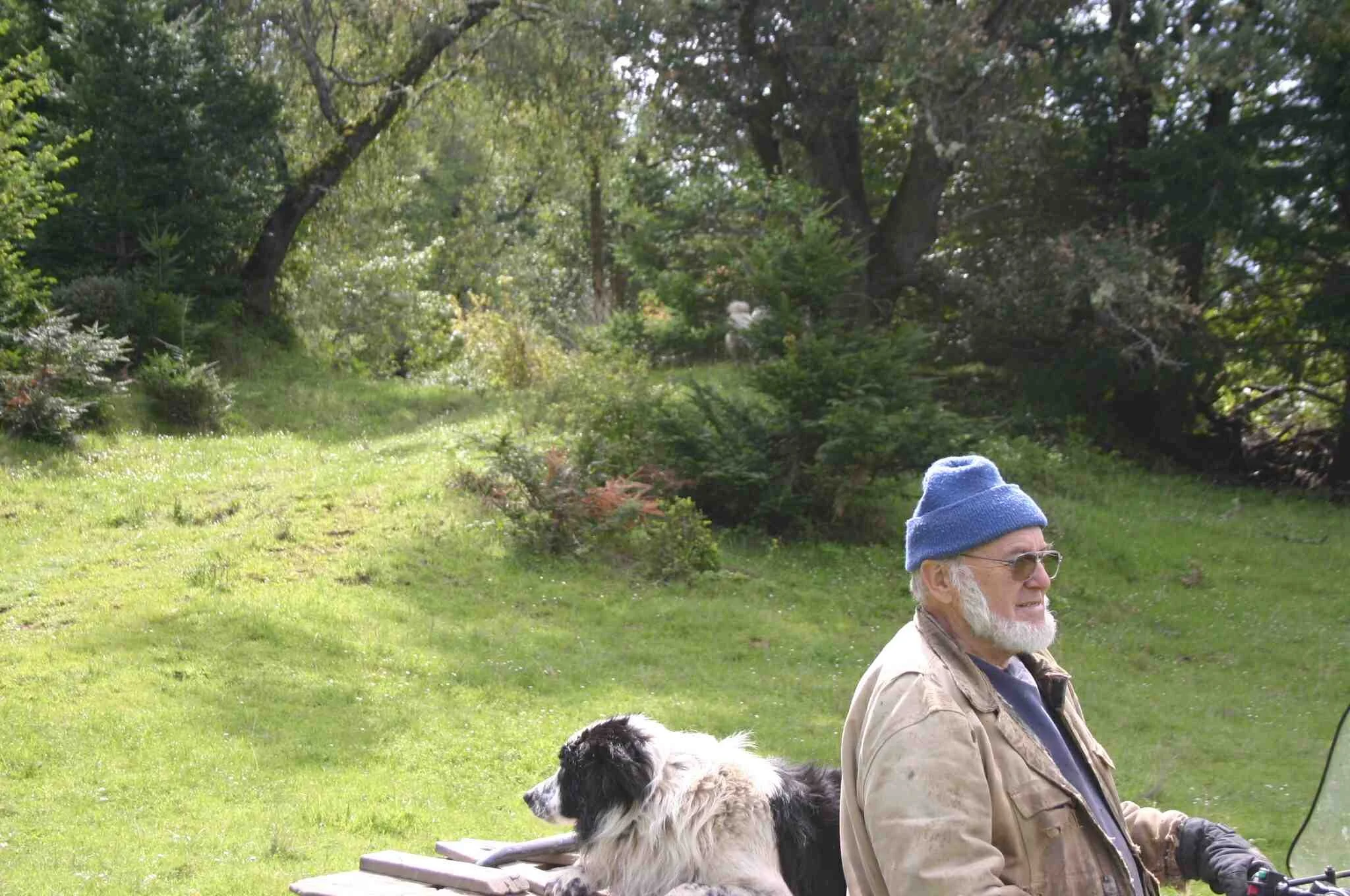 An elderly man with a white beard wearing a blue beanie, glasses, a beige jacket, and black gloves is sitting outdoors near a motorcycle. He is holding the handlebars and looking ahead. A black and white dog is lying on a wooden bench nearby. The background features green grass, shrubs, and trees in a park setting.