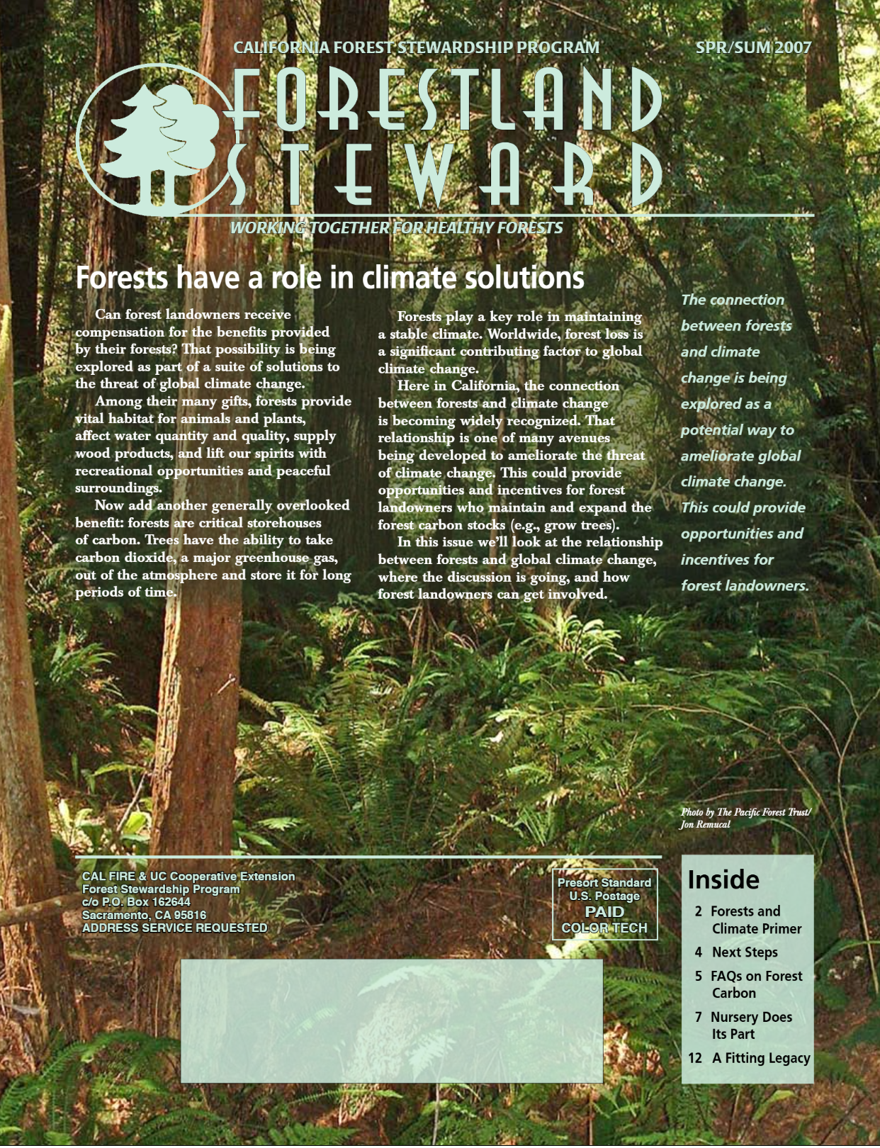 A magazine spread discussing the role of forests in climate solutions, featuring a background of a lush forest, with text highlighting the importance of forests for carbon storage and climate change mitigation.