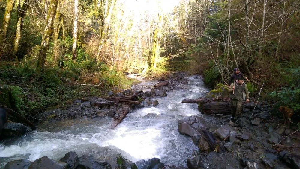 Two people fishing along a rocky stream in a forested area during daytime.
