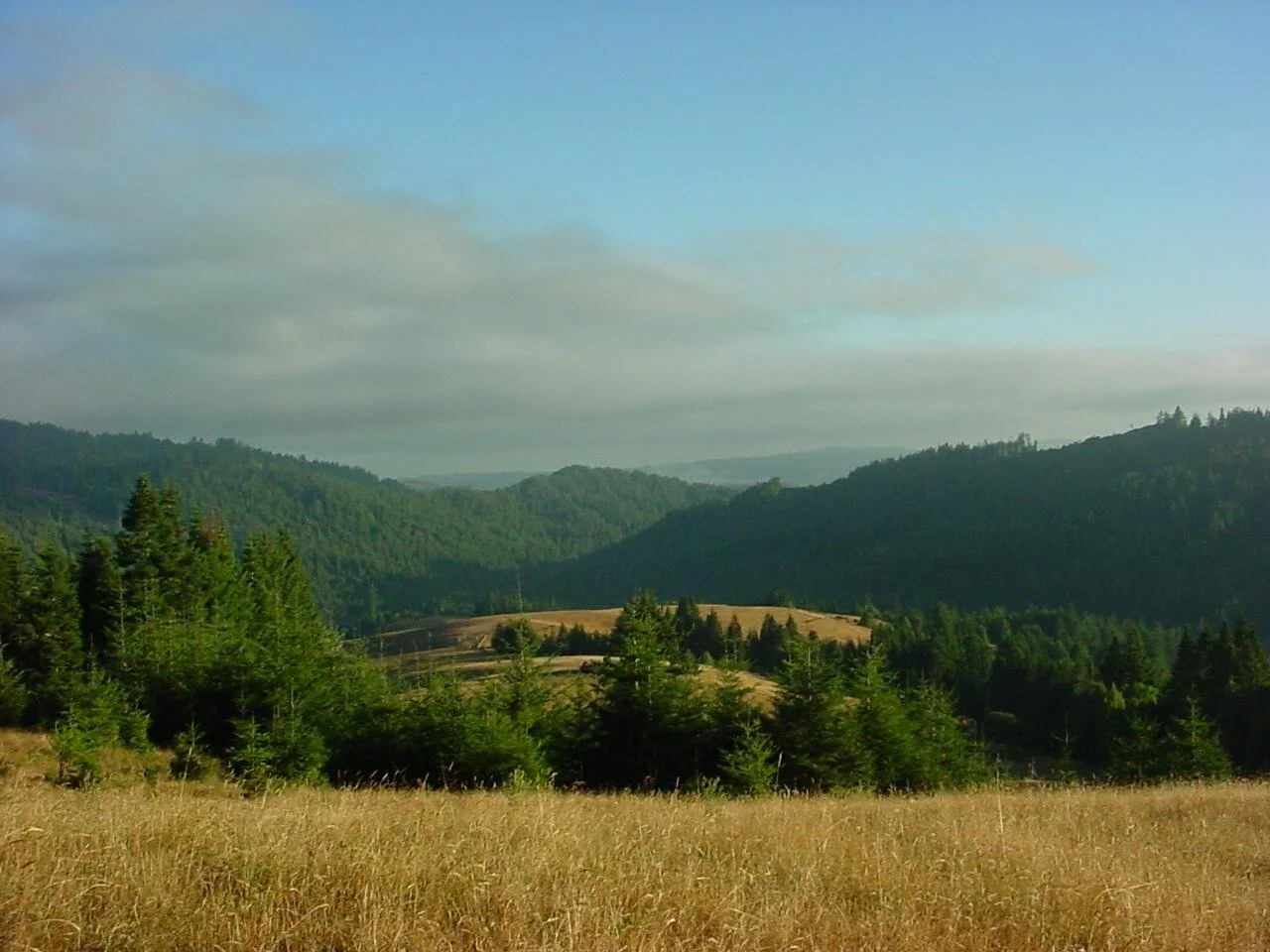 Landscape scene with rolling green hills, dense forests, and a grassy field in the foreground under a partly cloudy sky.