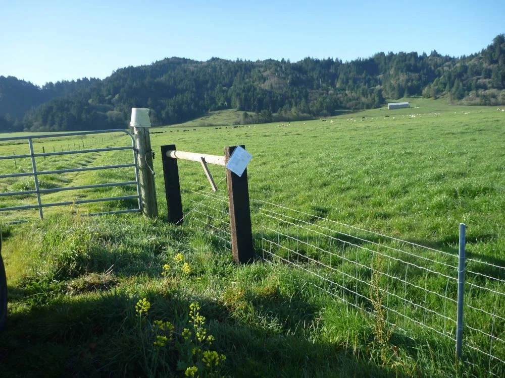 Fenced grassy field with mountains in the background under a clear blue sky.