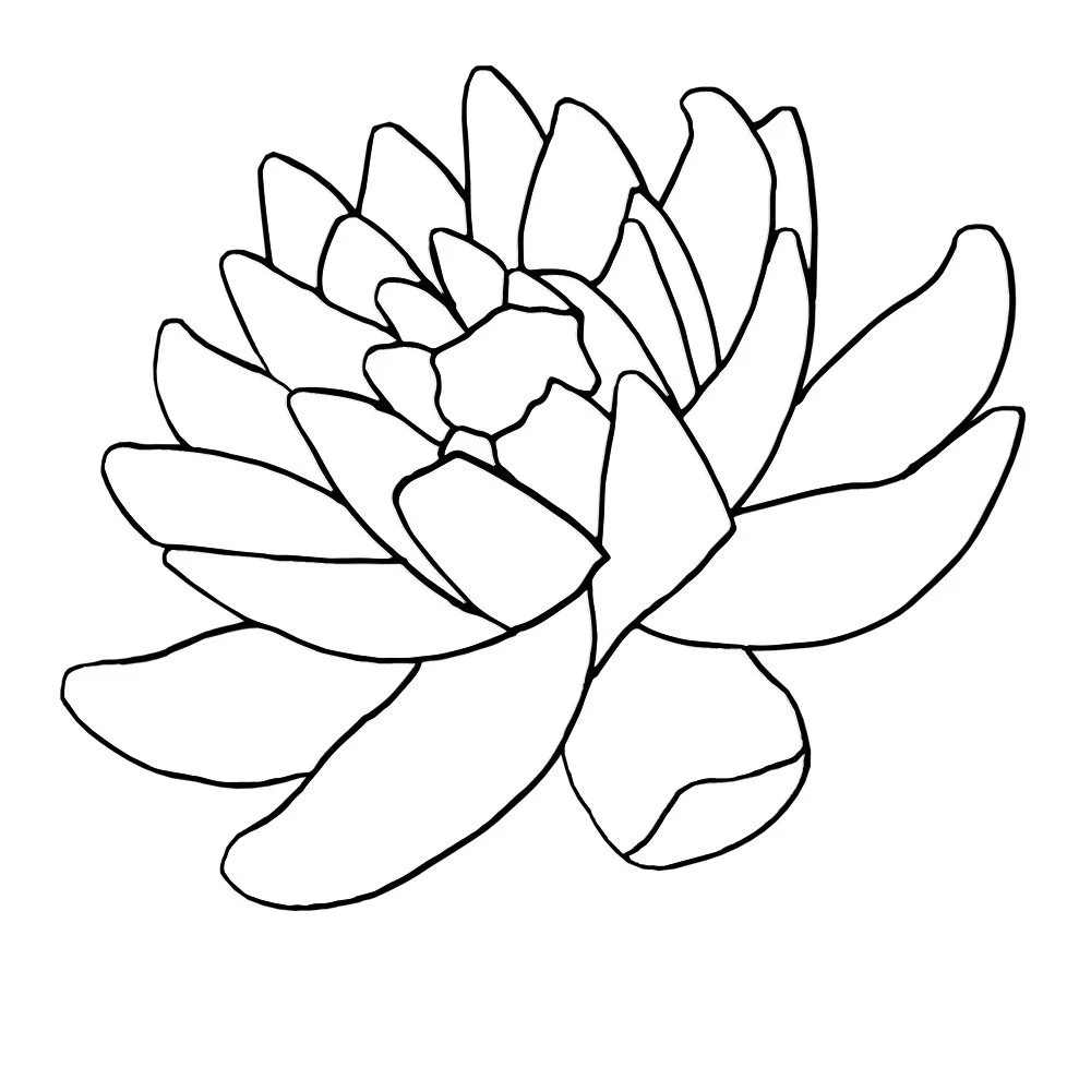 380-Lotus — Drawing and Logo Studies.jpg