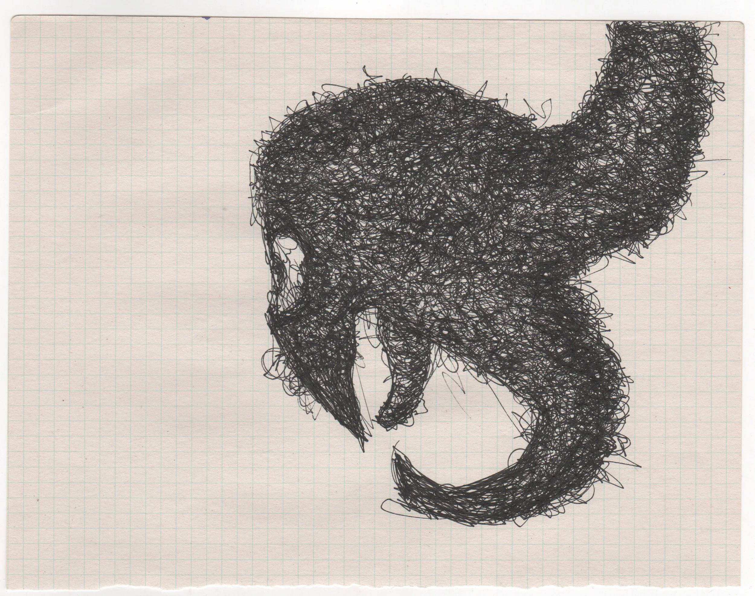 drawings 4.jpeg