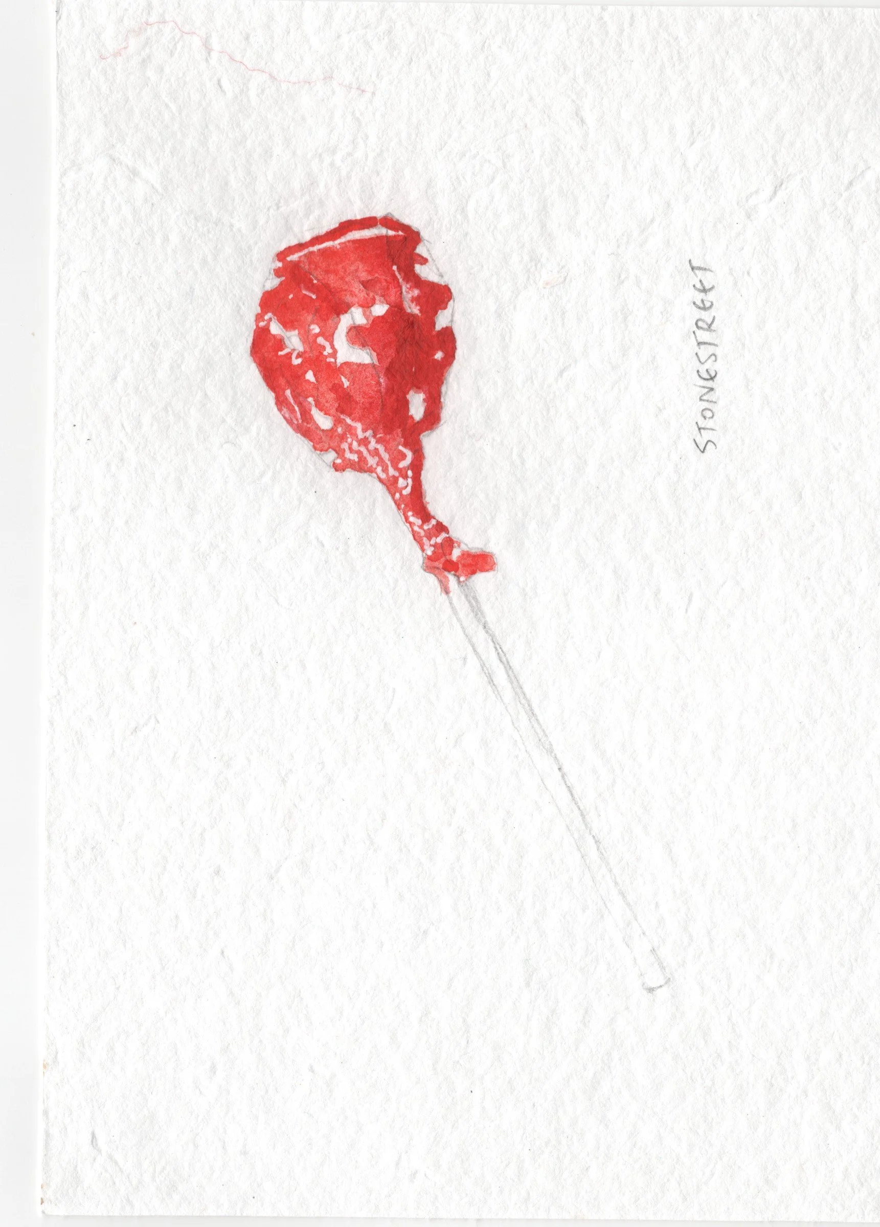 099-Everyday Objects — Red Pepper.jpg