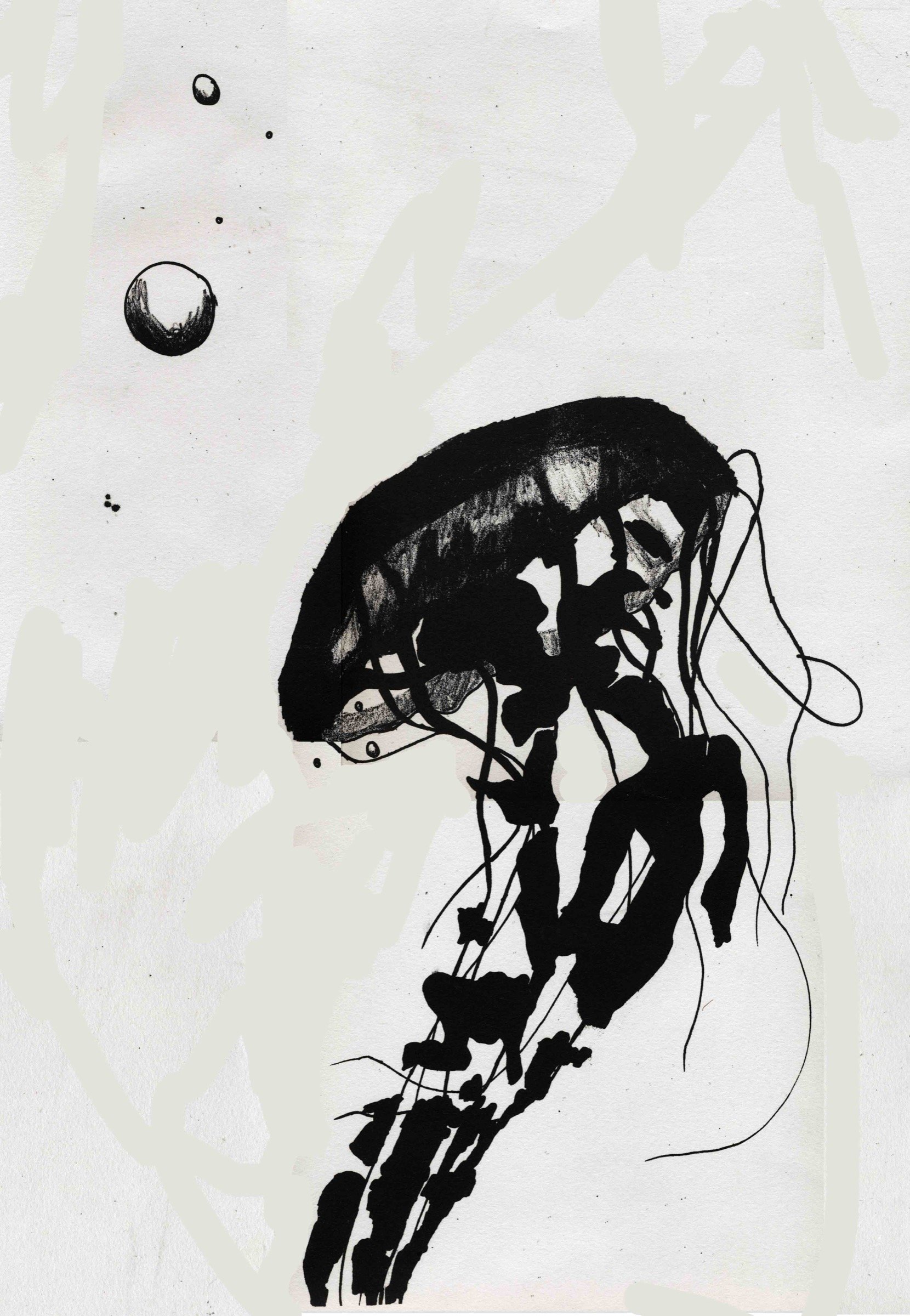 018-El Jellyfish.jpg