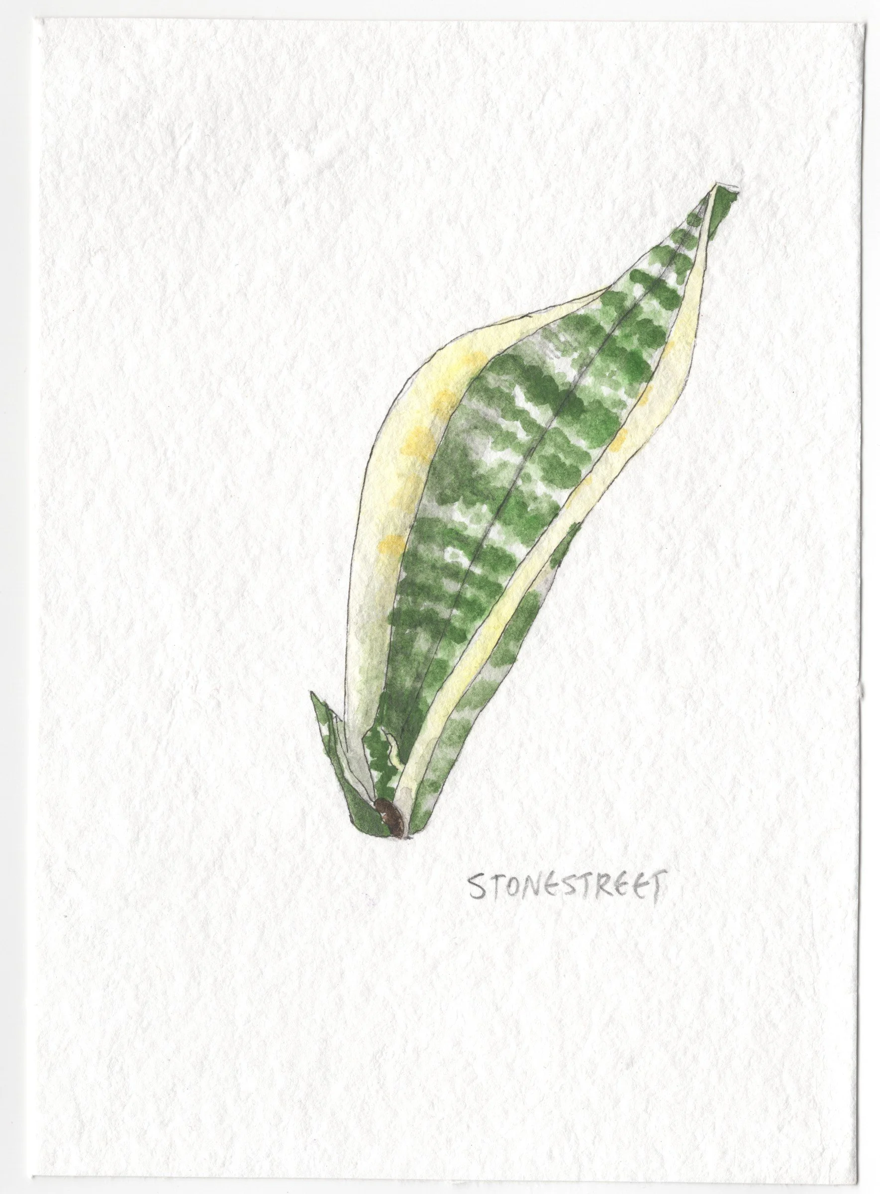100-Everyday Objects — Leaf.jpg