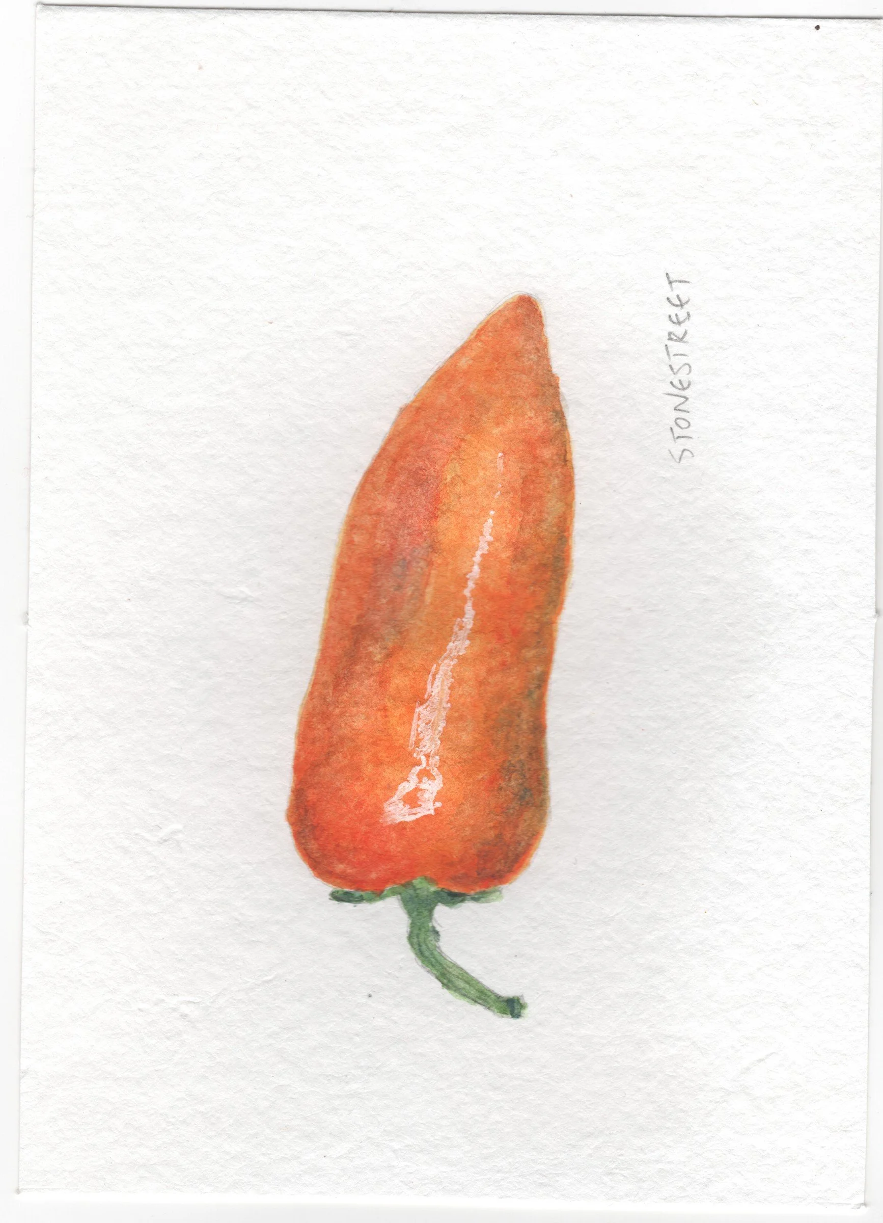 113-Everyday Objects — Orange Pepper.jpg