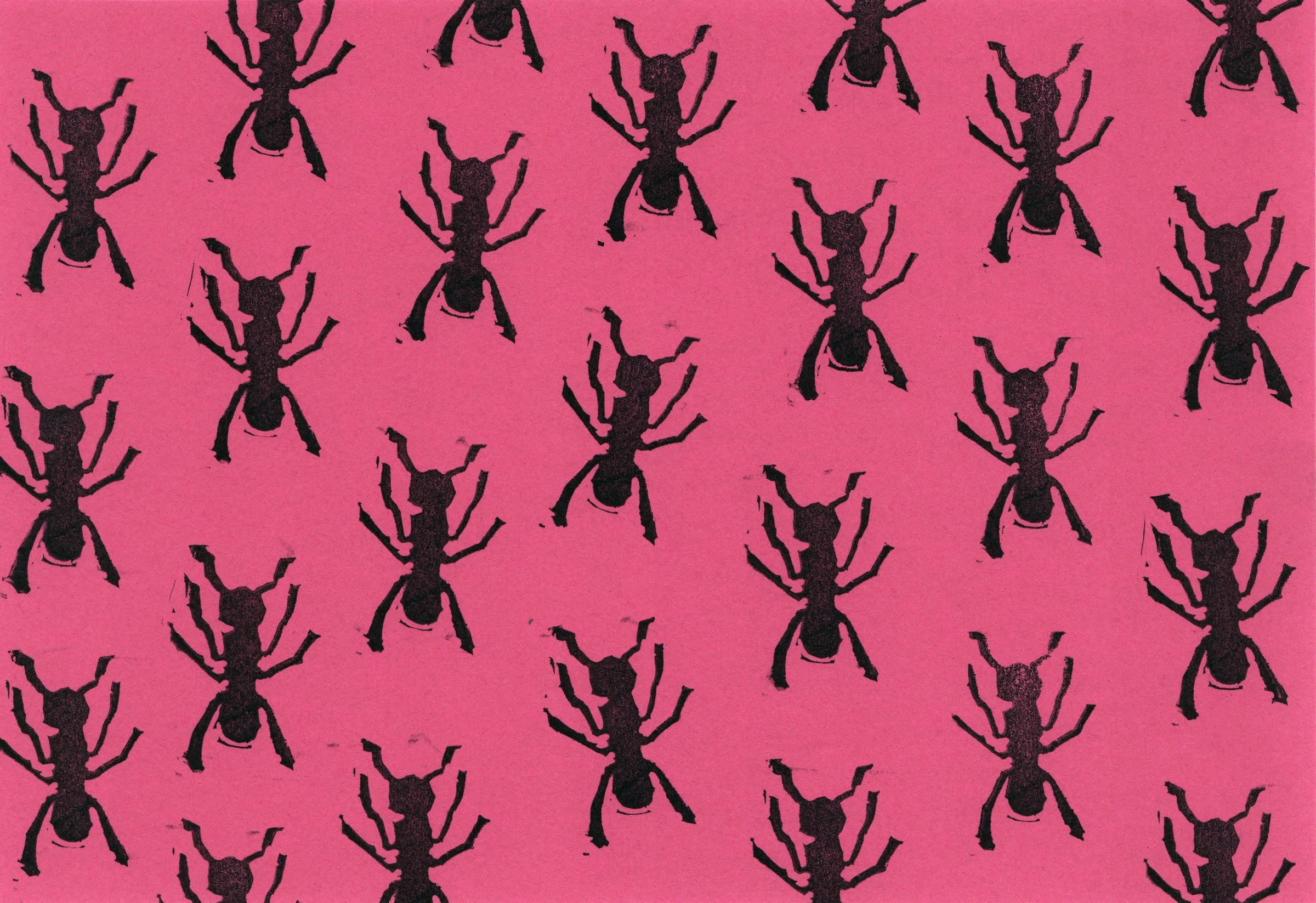 006-Greeting Cards — Ants.jpg