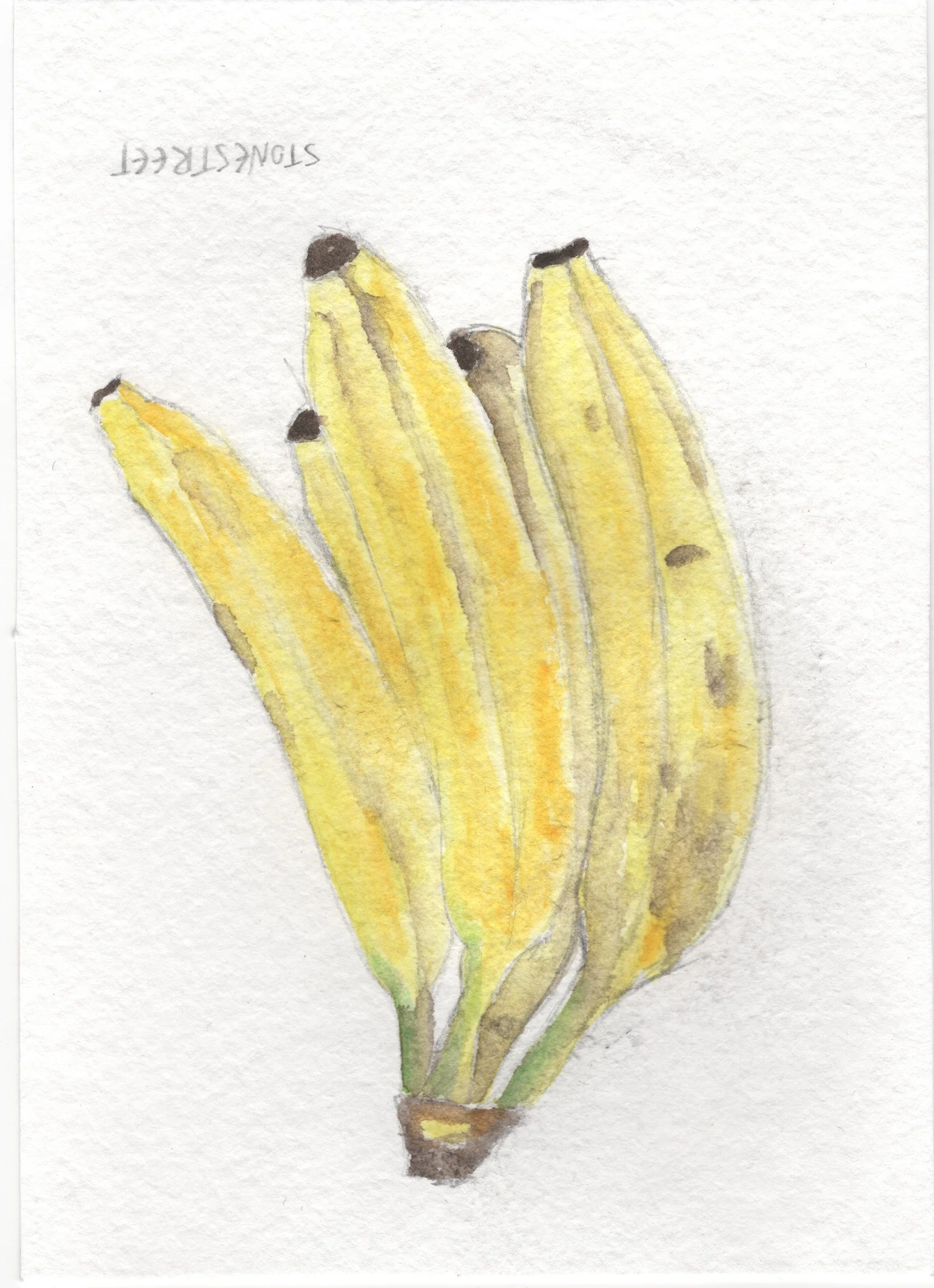 129-Everyday Objects — Bananas.jpg