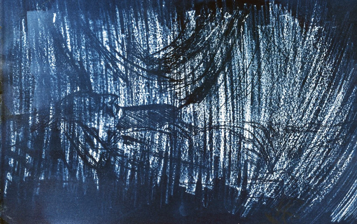 Cyanotype — abstract blue field