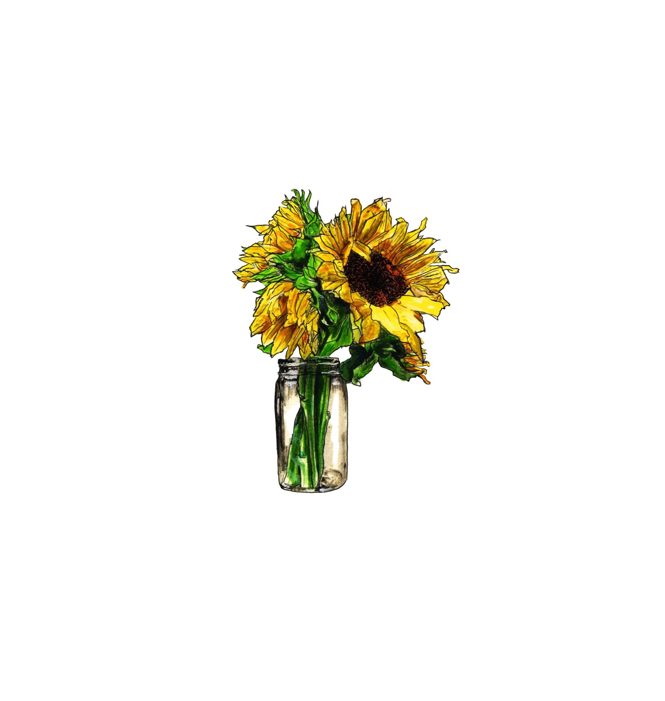 Sunflower in Mason Jar · 2014 · Related view 8