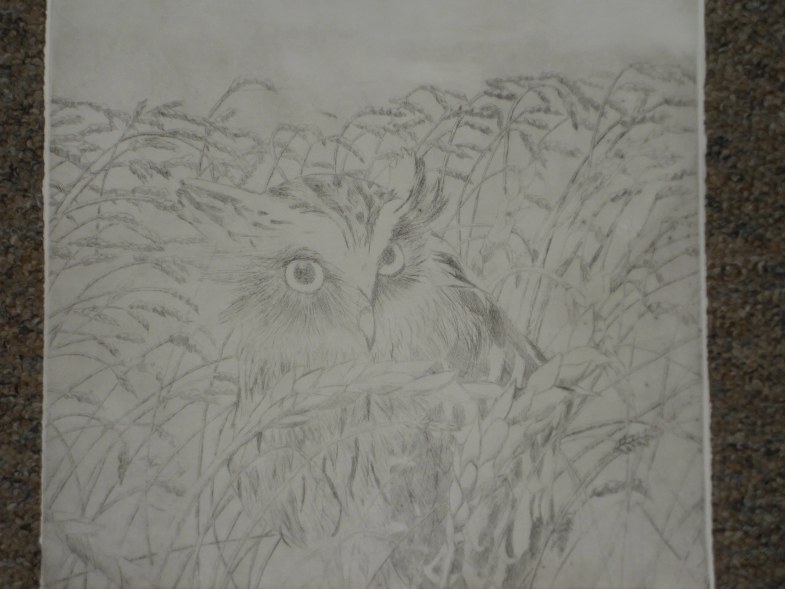 DSCN1242.JPG