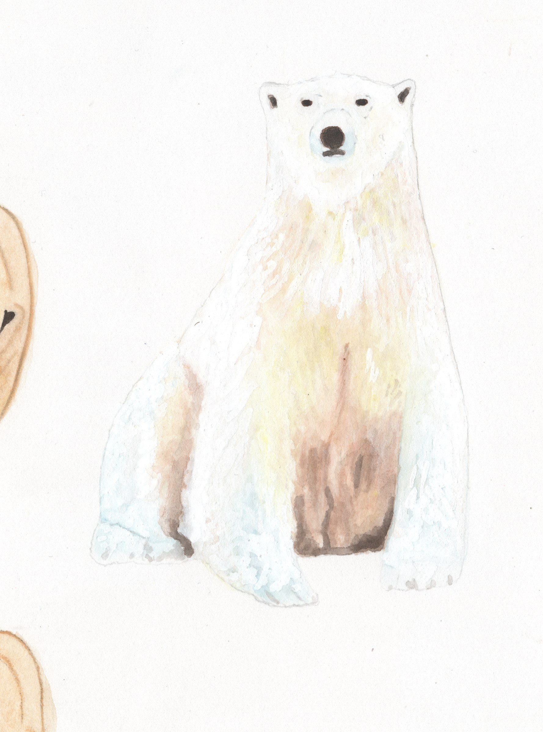 polar-bear-upright.jpg