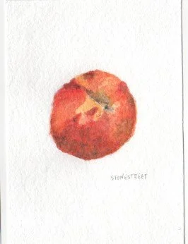 104-Everyday Objects — Nectarine.jpg