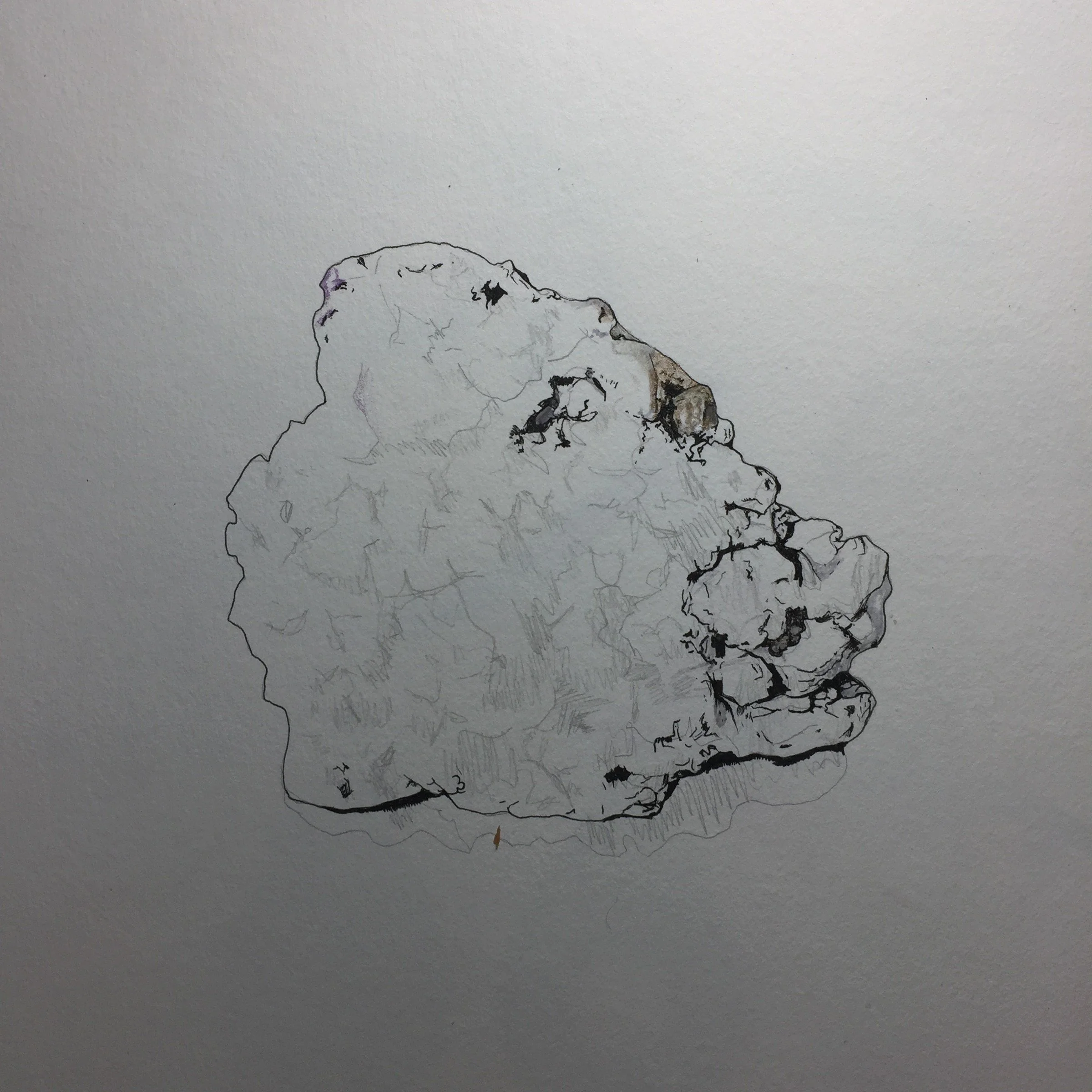 207-Mineral Study.jpg