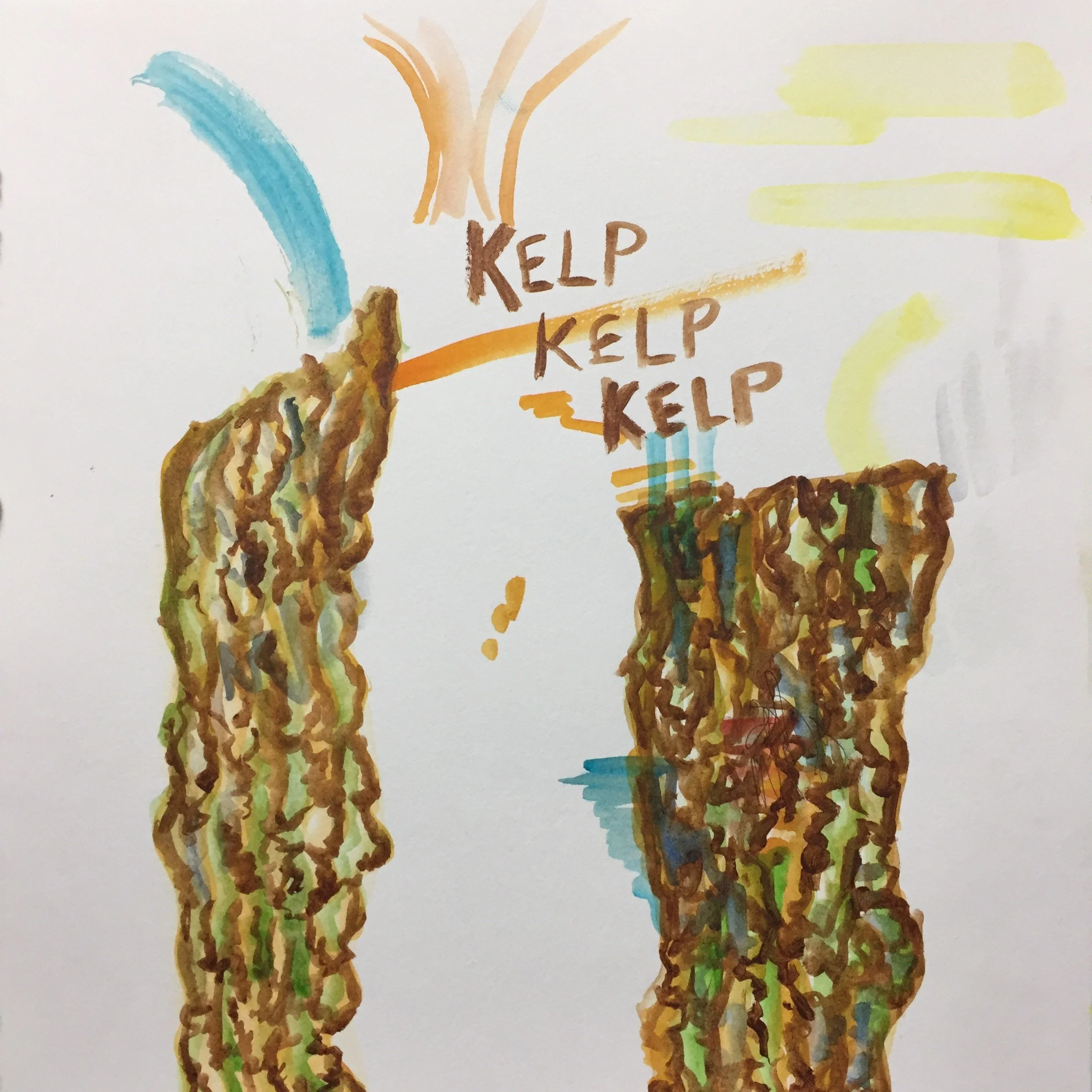 Sketchbook — Kelp Studies · 2017