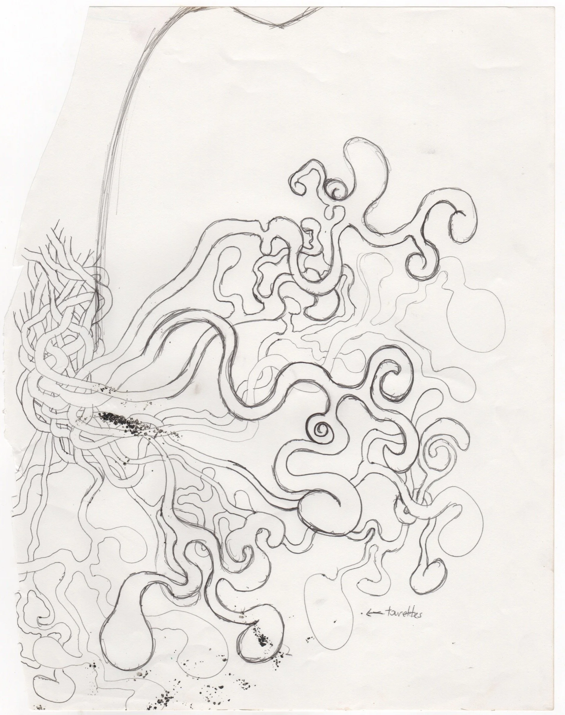 049-Line Drawing.jpg