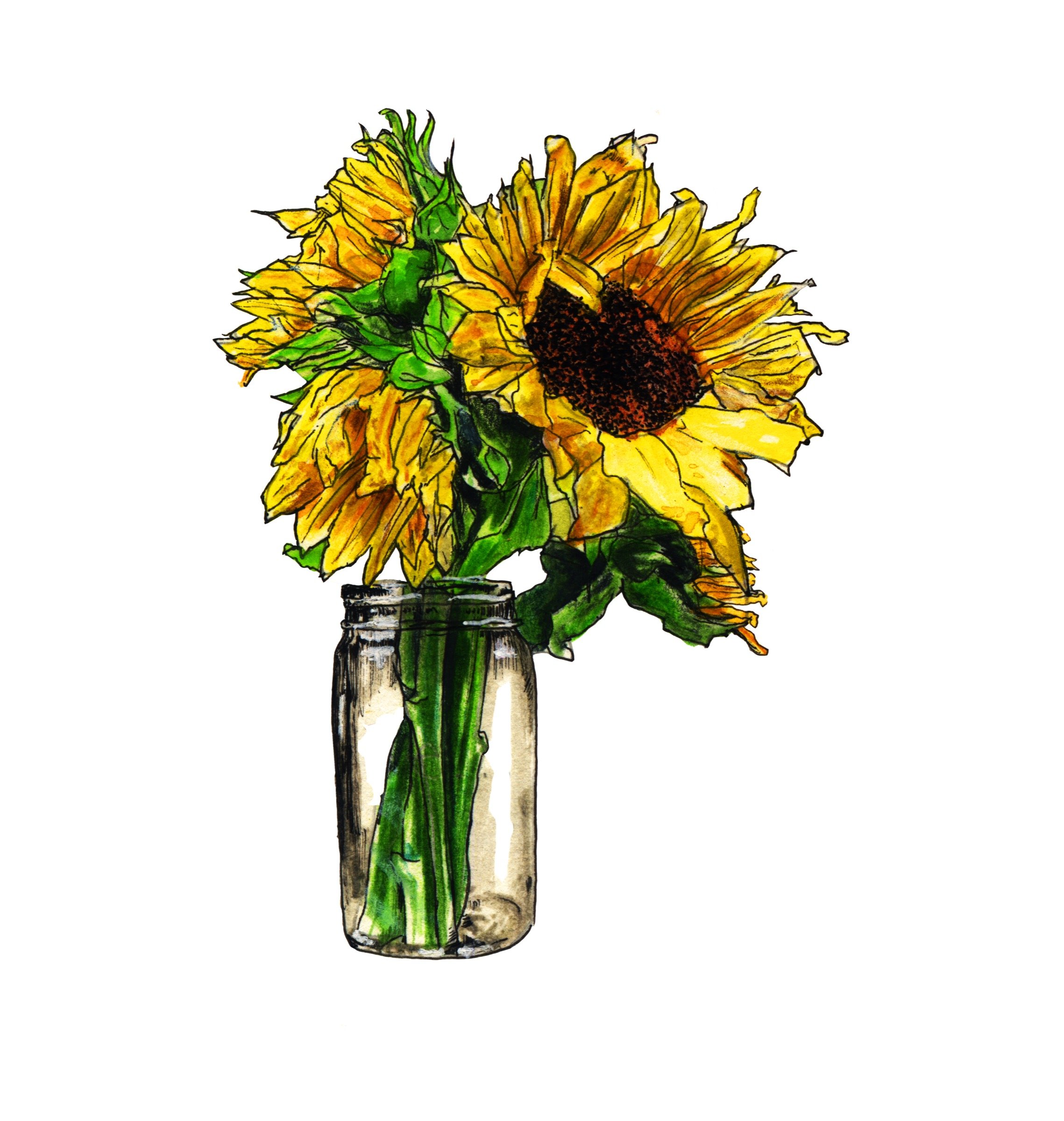 Sunflower in Mason Jar · 2014 · Related view 7