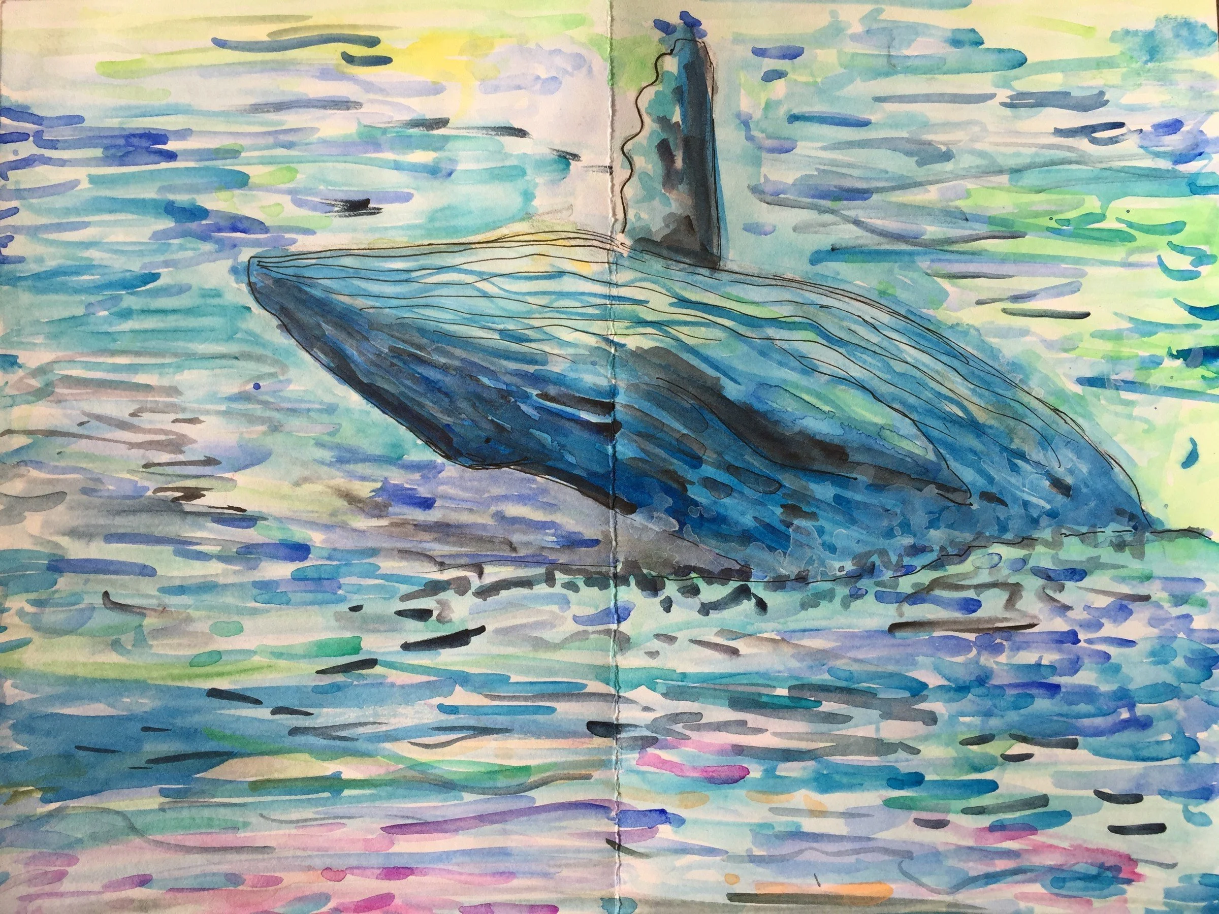 Untitled — Whale Study · 2017