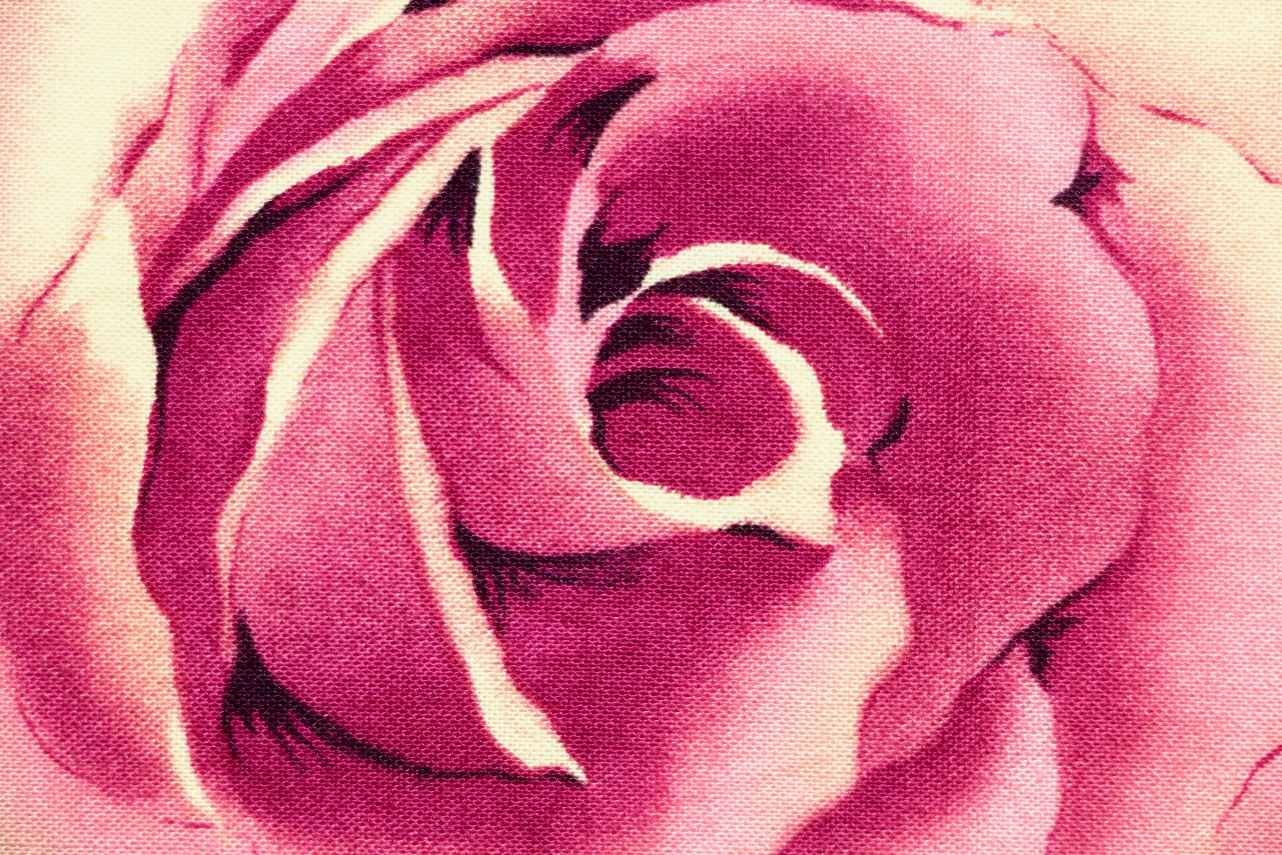 IMG_8639.jpeg