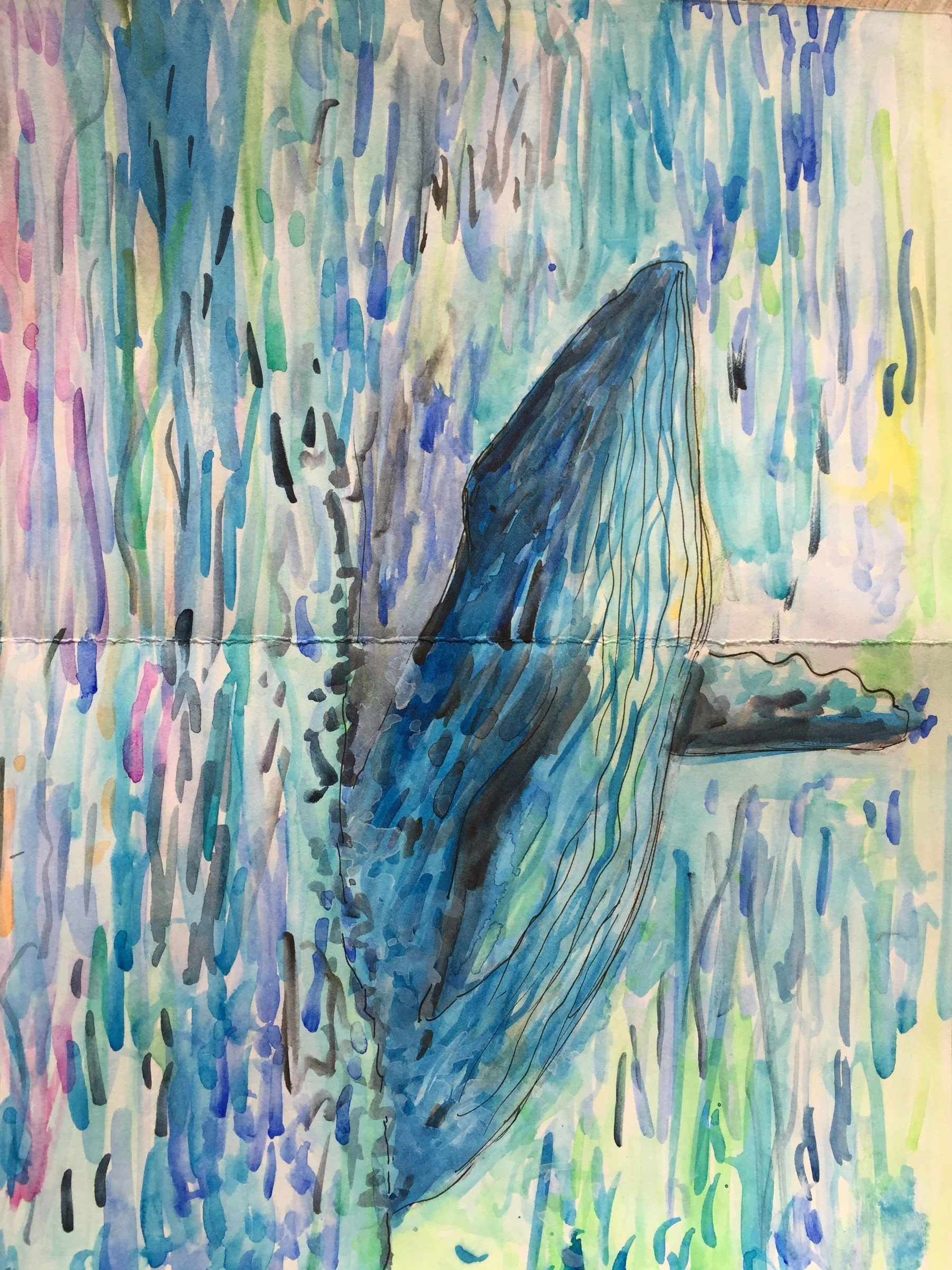 247-Whale Study.jpg