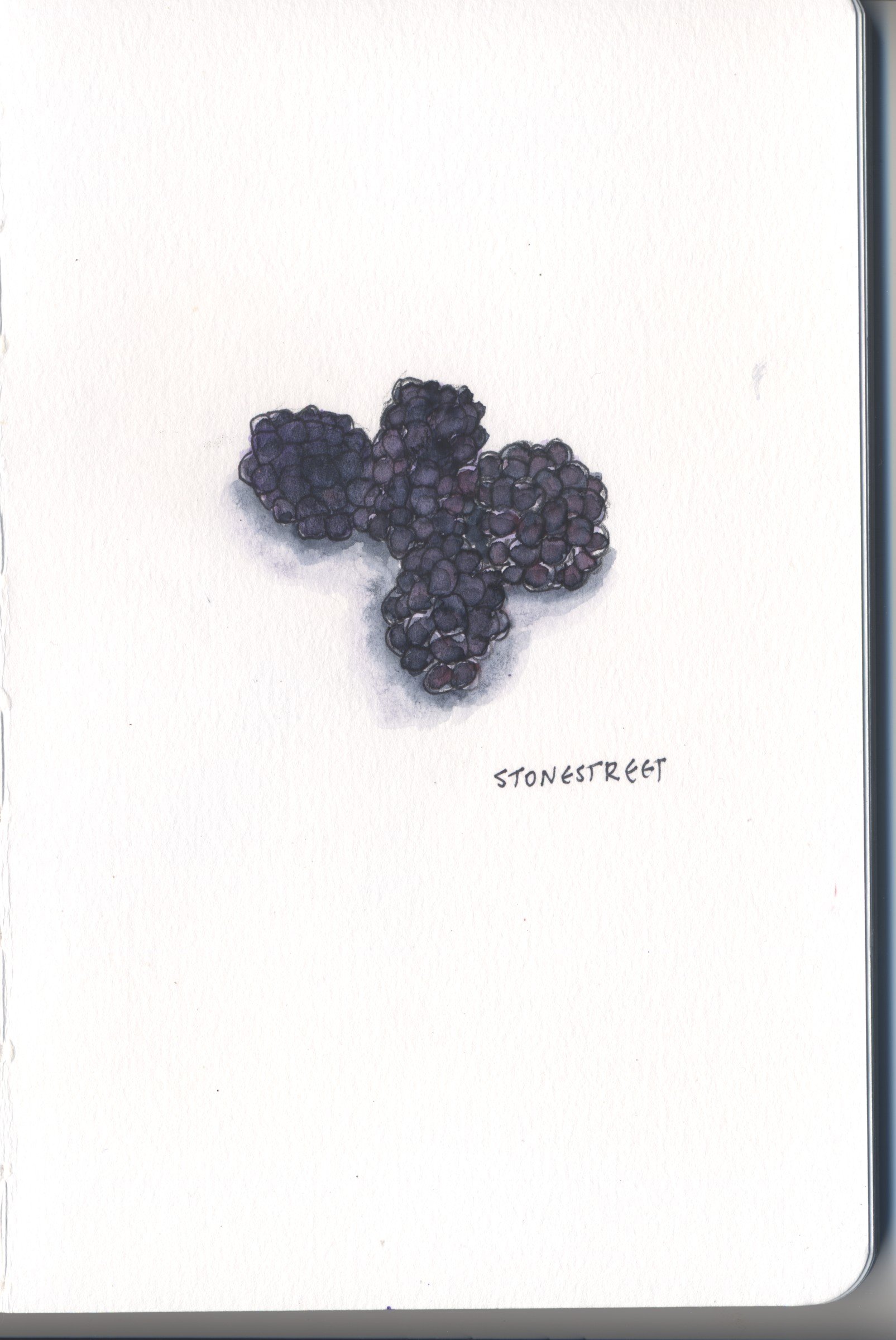 125-Everyday Objects — Blackberries.jpg