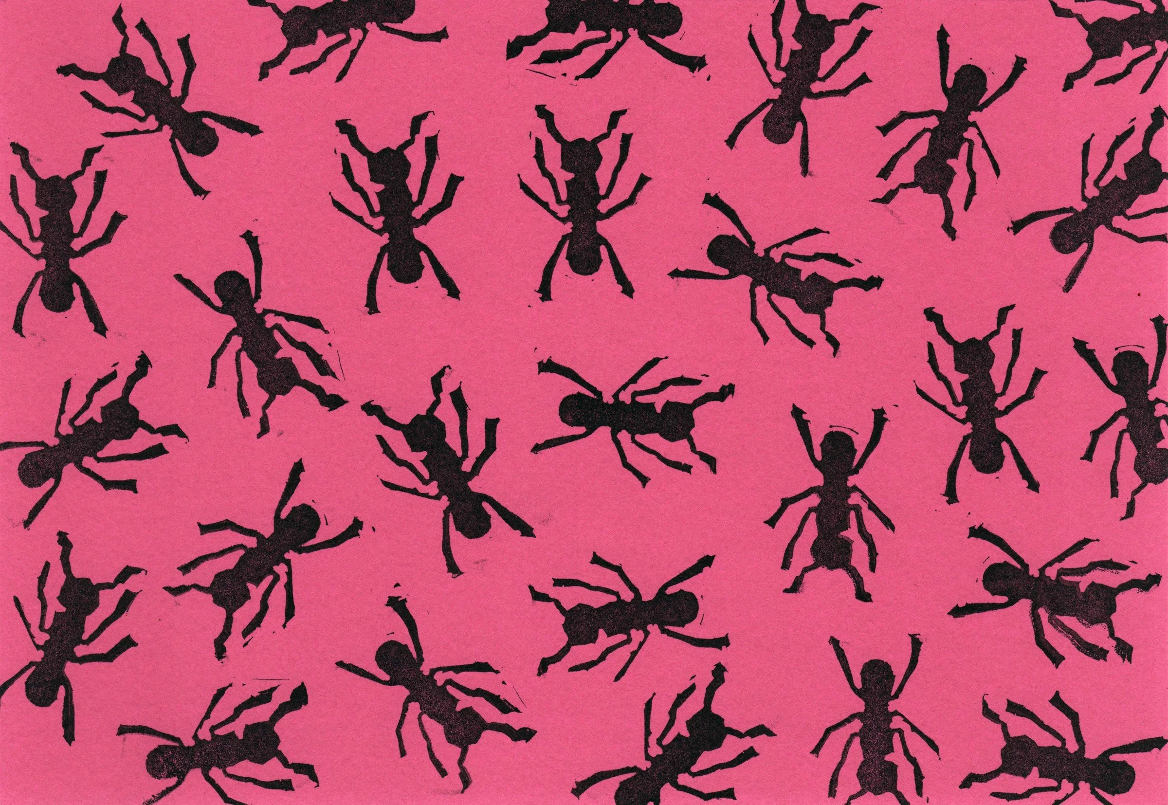 008-Greeting Cards — Ants.jpg