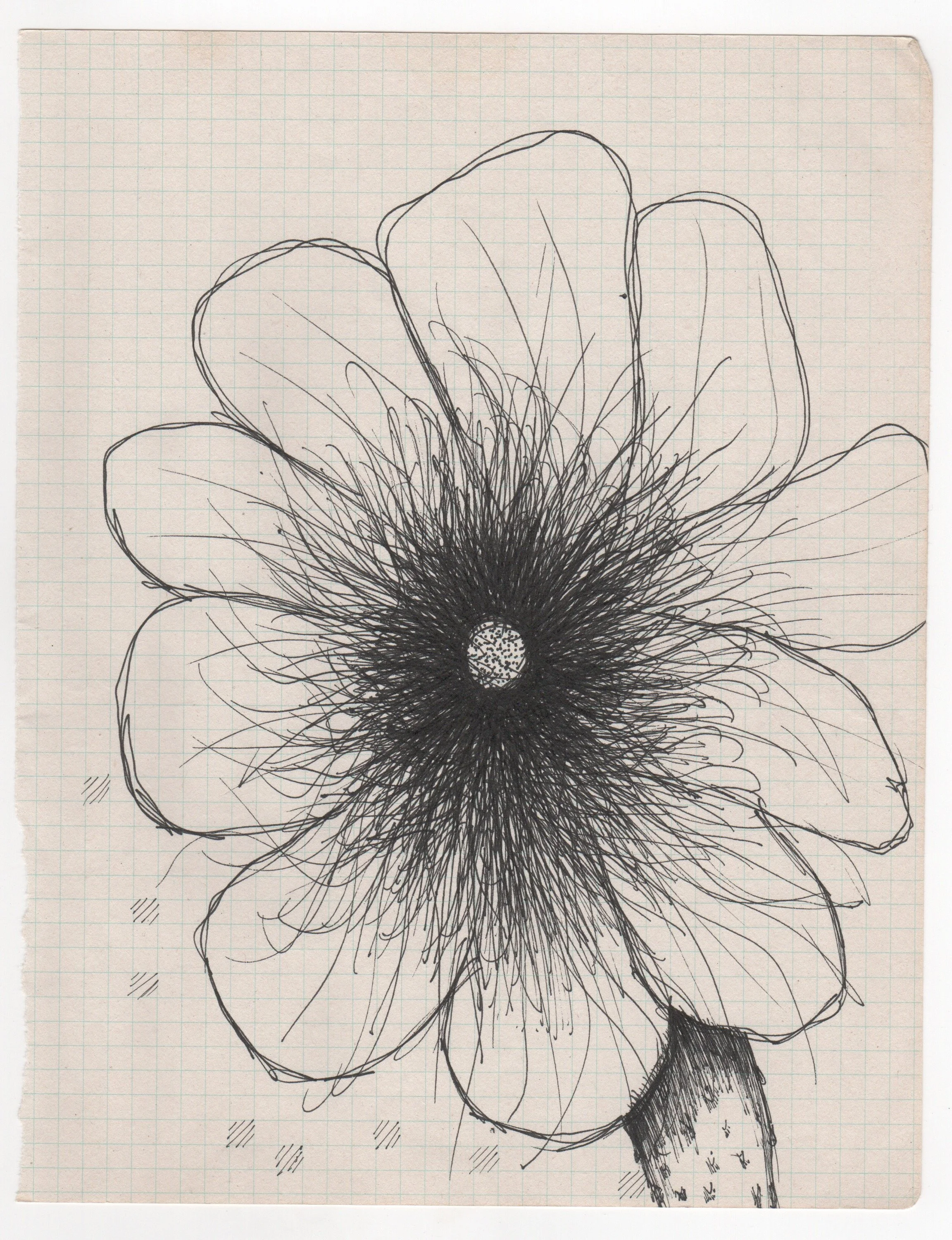 drawings 8.jpeg