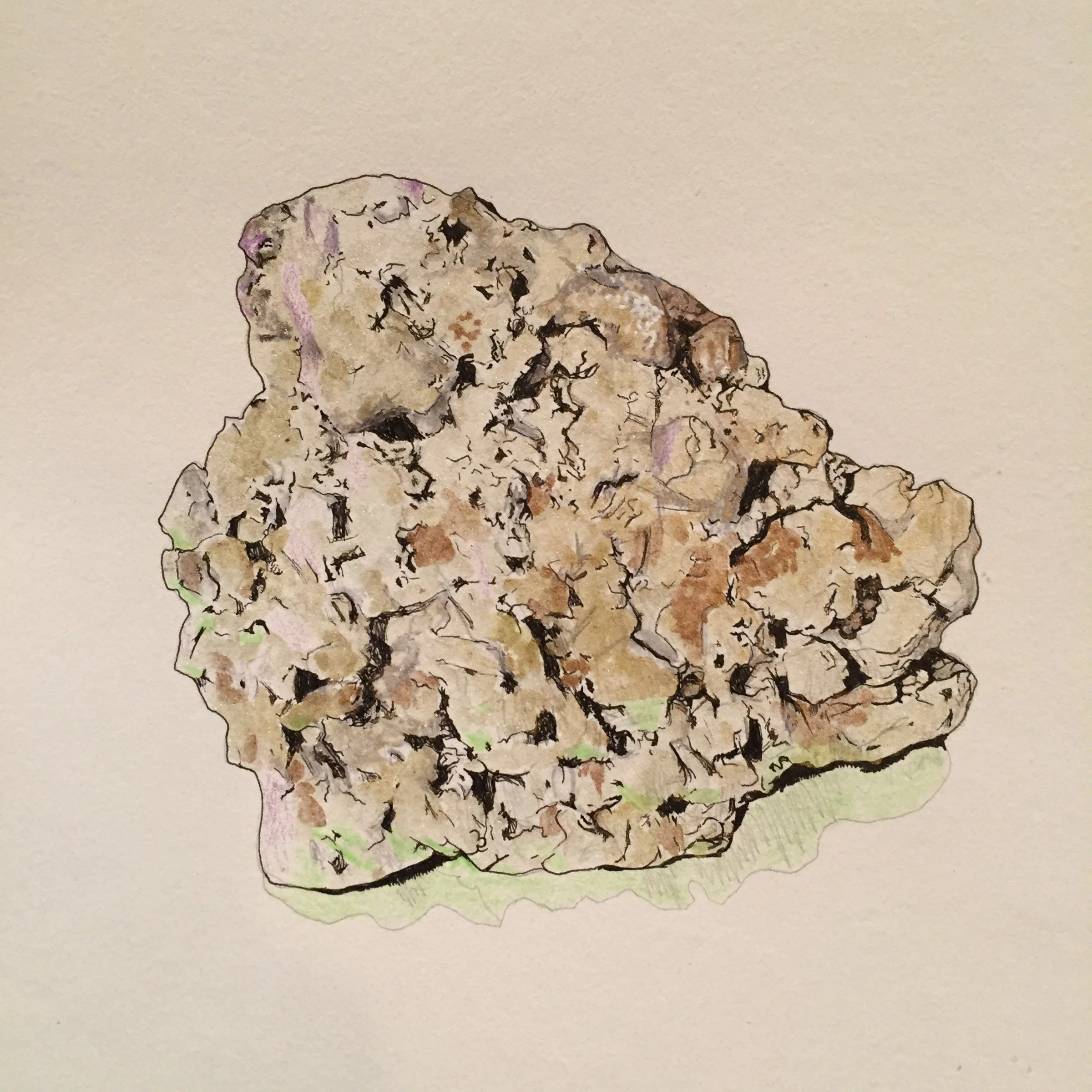 210-Mineral Study.jpg