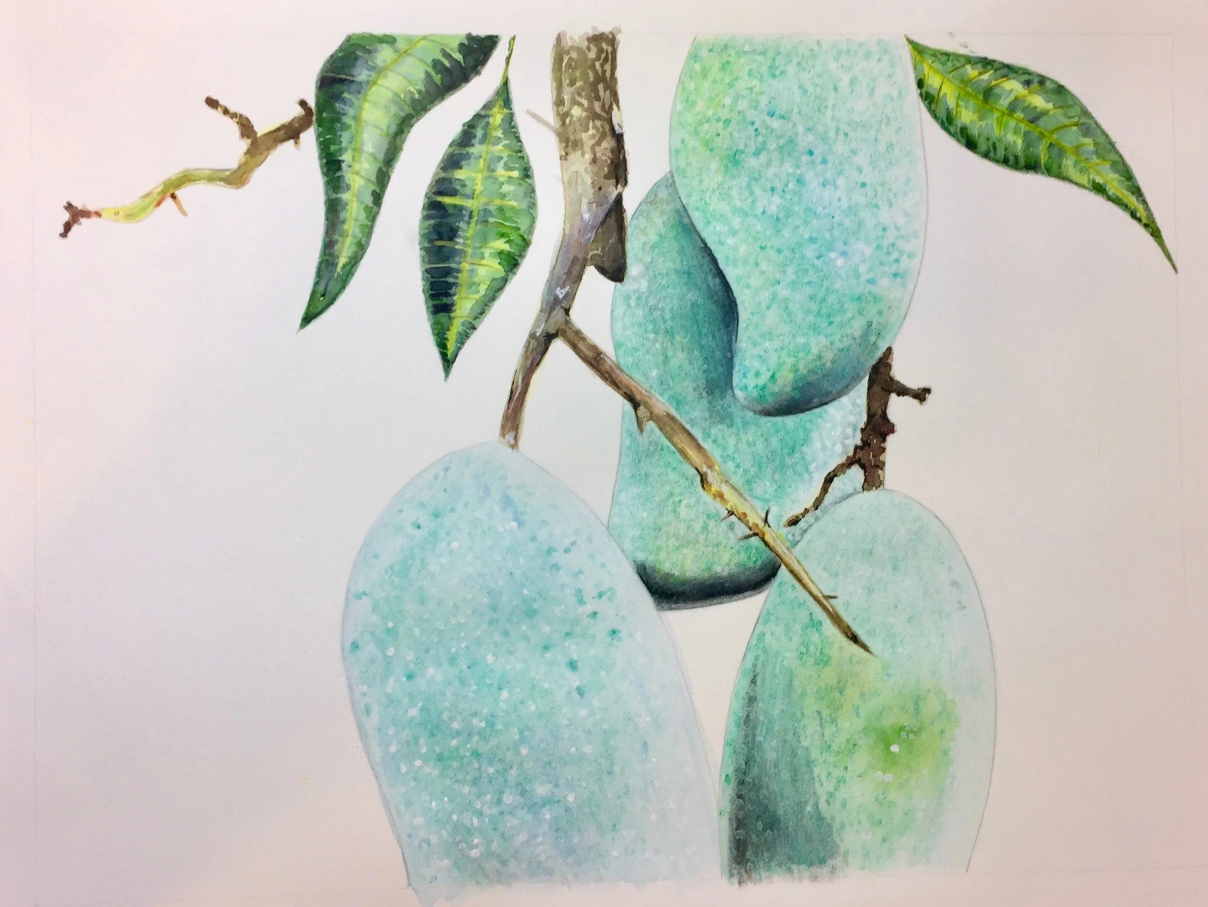 The Magical Mindful Day — mango illustration · 2017