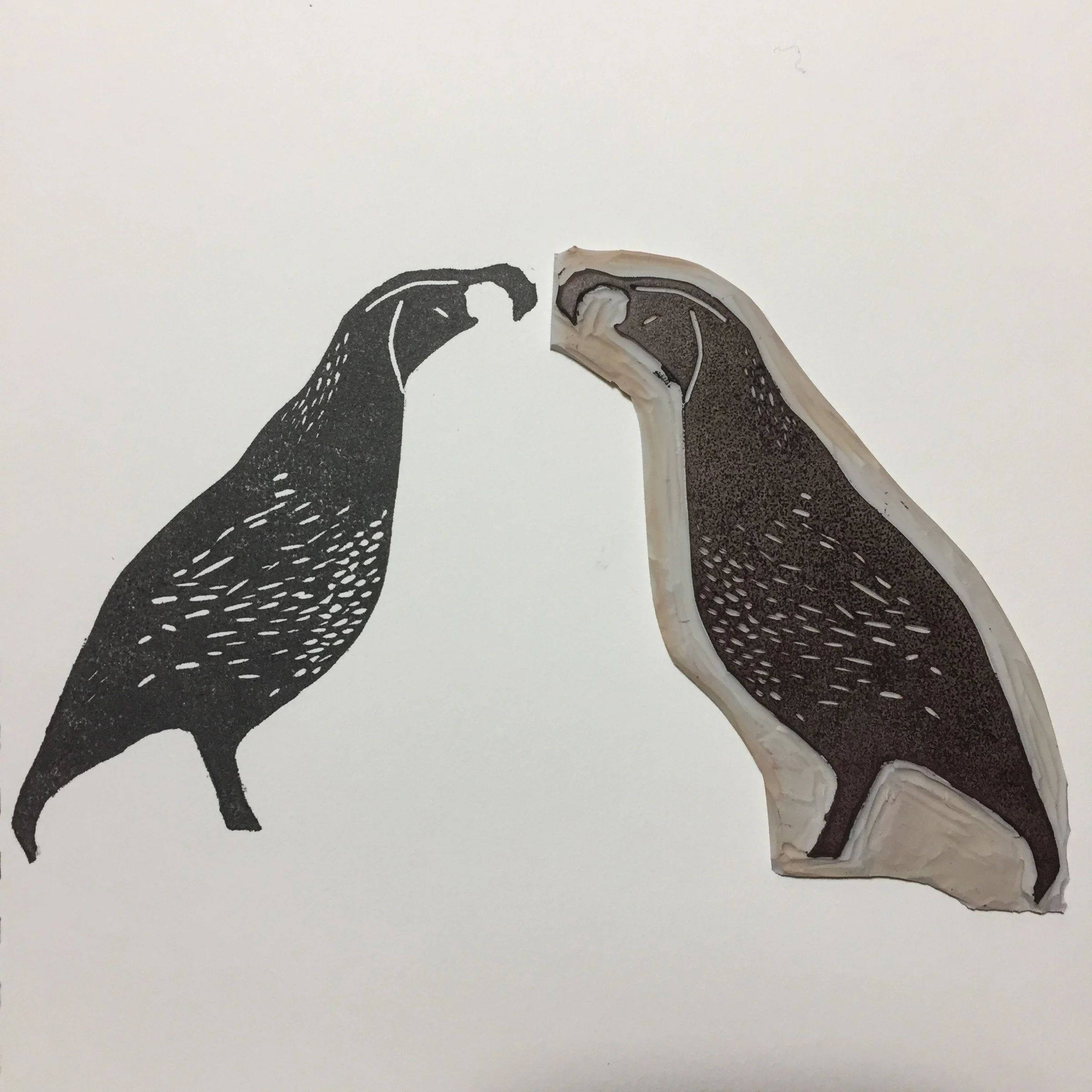 Californian Quail — carved block and print · 2017
