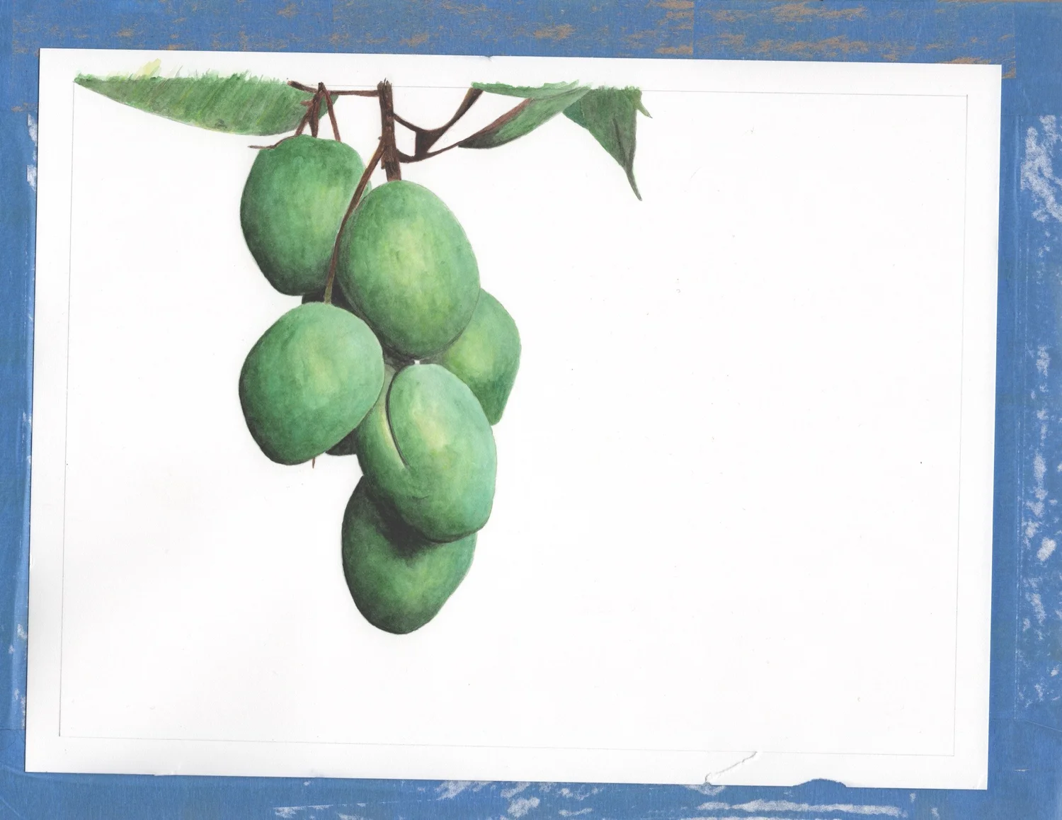 Mango — Branch — Finished work · The Magical Mindful Day
