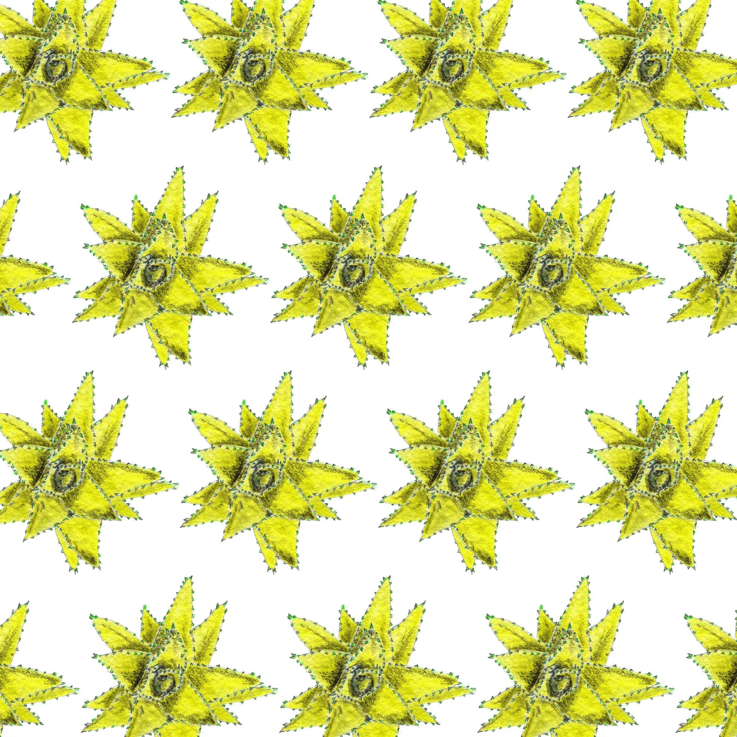 352-Succulent.jpg