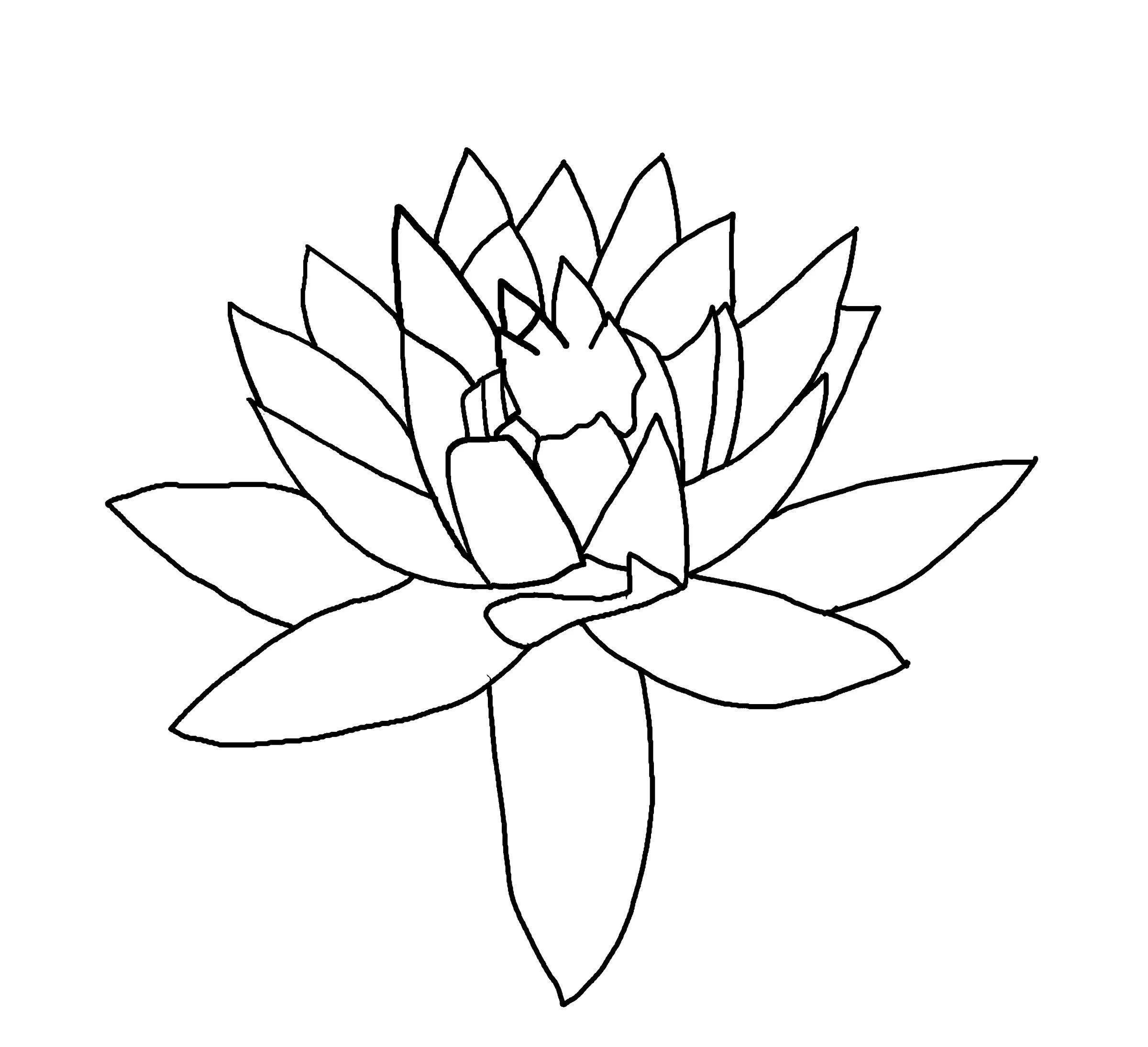 381-Lotus — Drawing and Logo Studies.jpg
