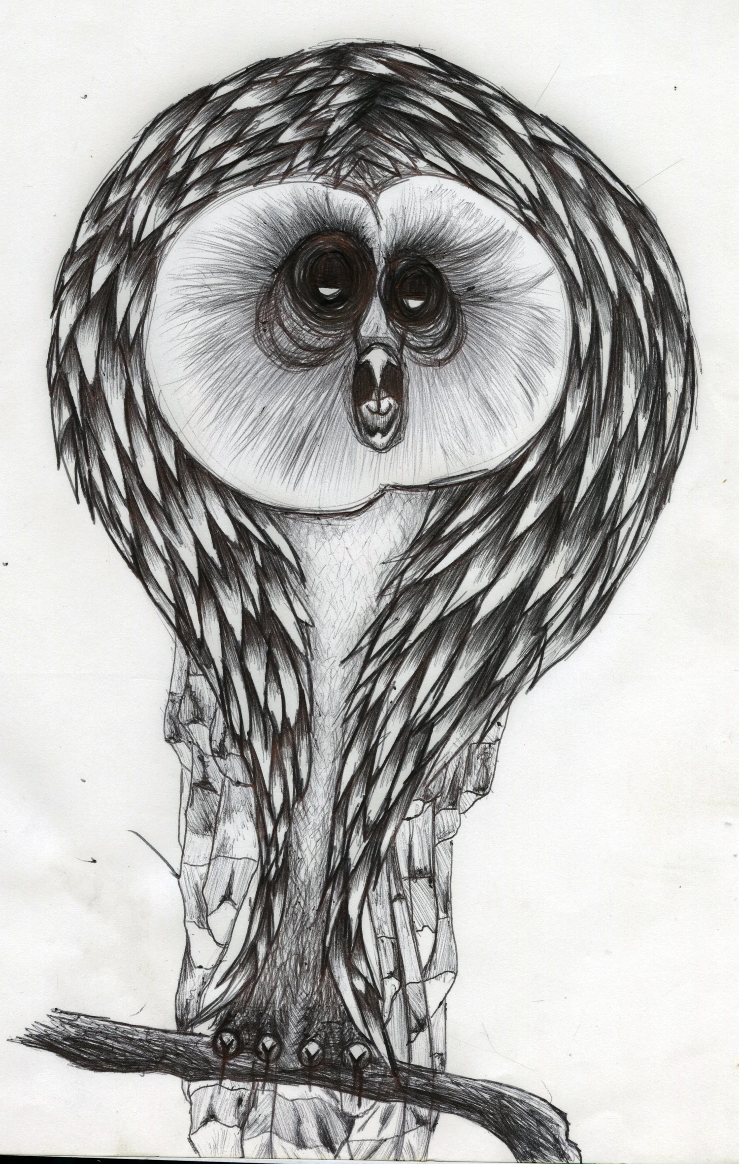 Owl — Finished work