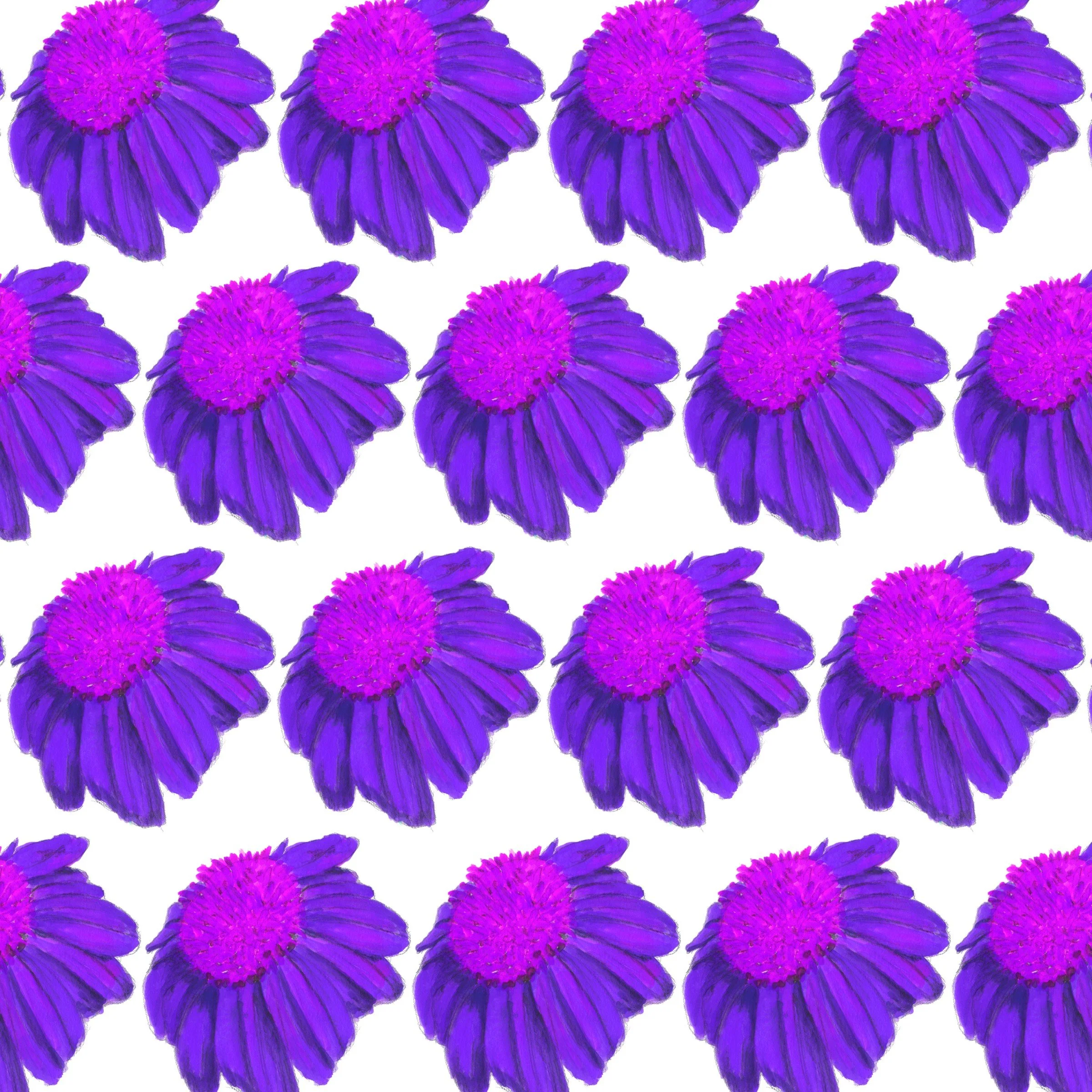 023-Coneflower Echinacea.jpg