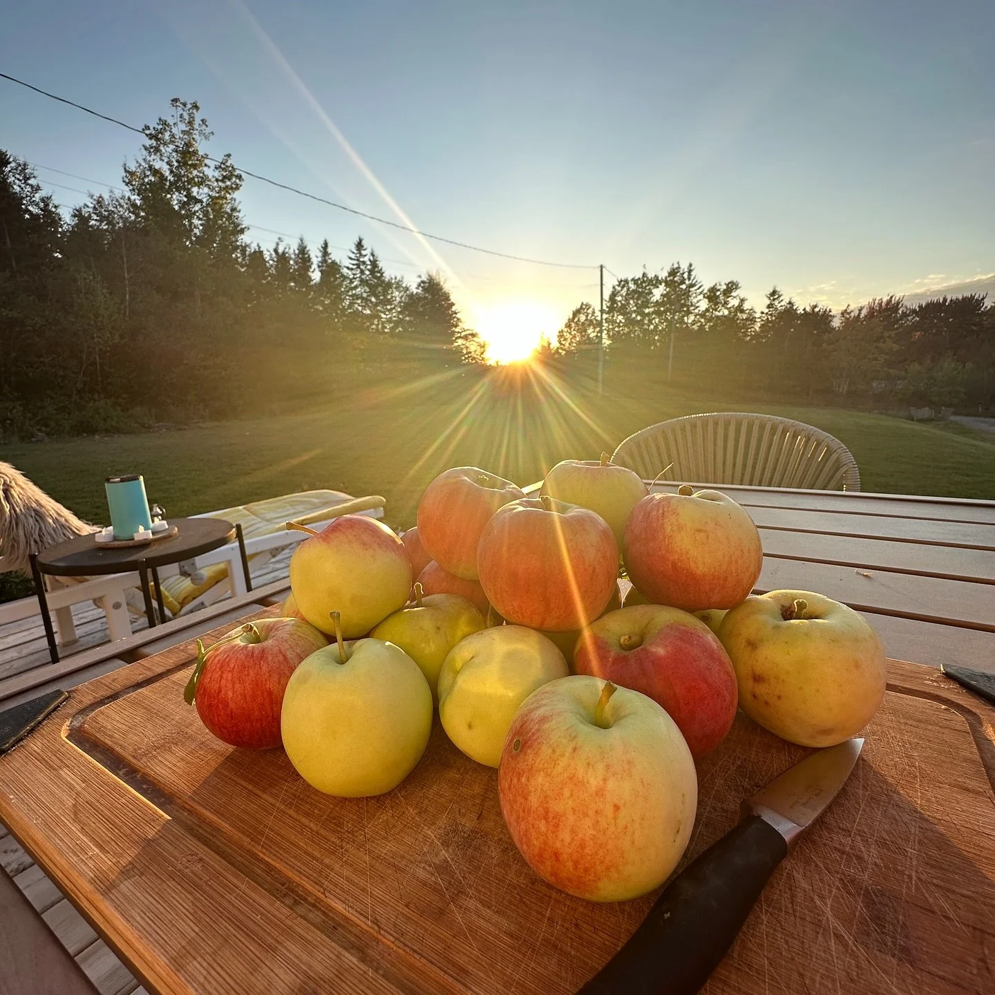 What a Beautiful Fall Day!
🤩
Time to make delicious decisions.
#apple #fall #novascotia #lovelife #loveyou #beyou #grateful