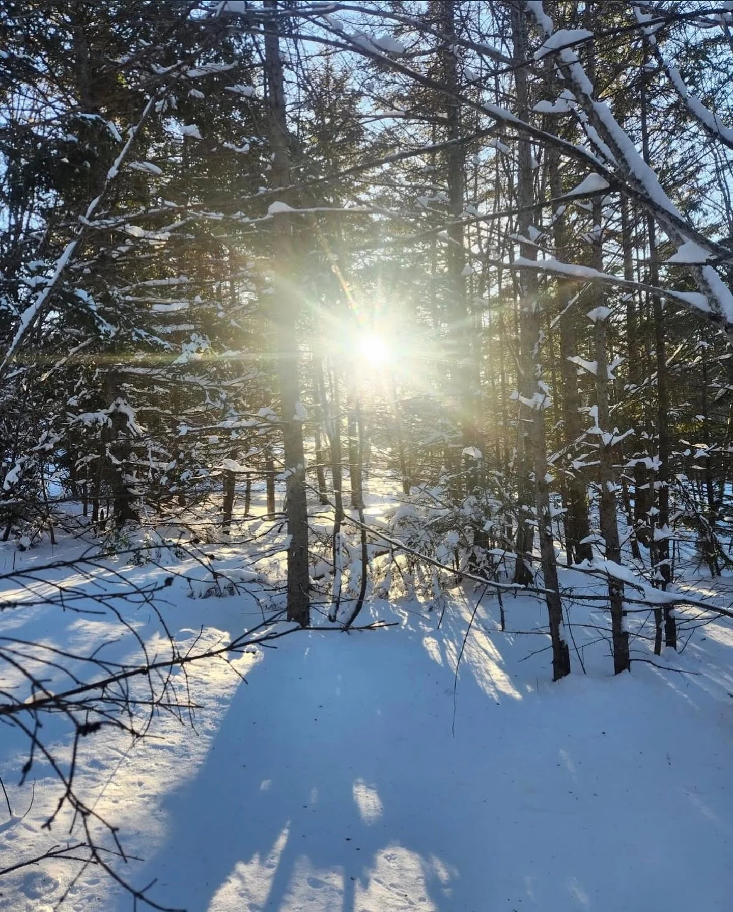 Feb 01&bull;Celtic Spring&bull;
&bull;Imbolc&bull;La Br&igrave;dhde
&bull;Fuelling your creative fire 🔥&bull;

Imbolc. (Im-ulk) &lsquo;in the belly&rsquo;
Imbolc represents the womb, reference to pregnancy of ewes, reaches its peak at the Spring equ