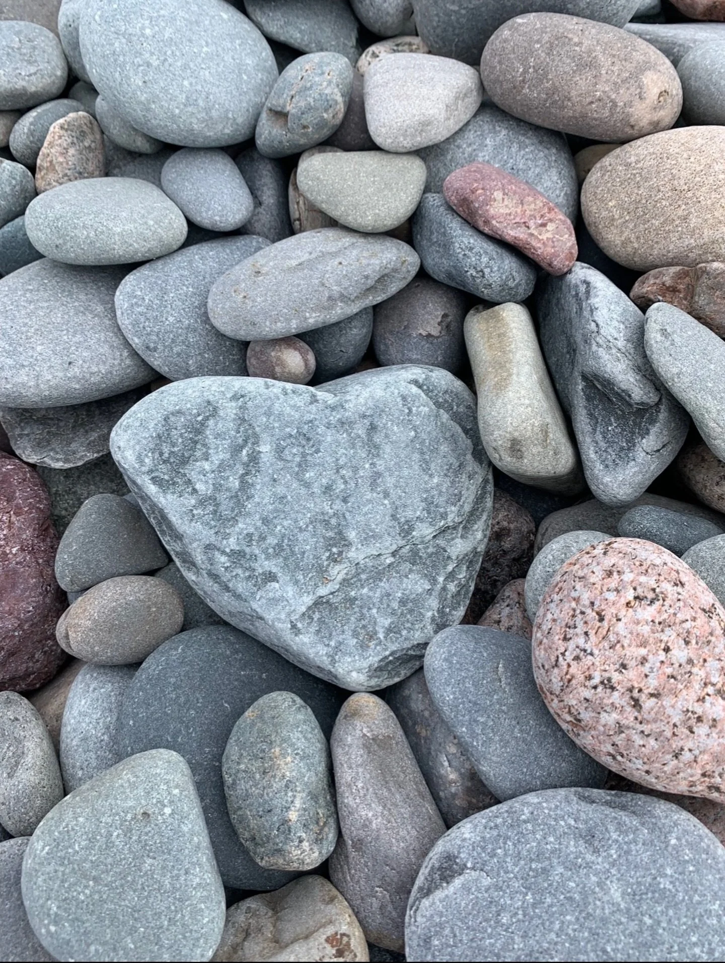 Happy Valentine&rsquo;s Day from the Beach.
🫶 
Found this beautiful heart rock while walking at Lawerence Town a few summers ago. I&rsquo;m a collector of the heart rocks, are you? 

Love ya!
Xo
Karen