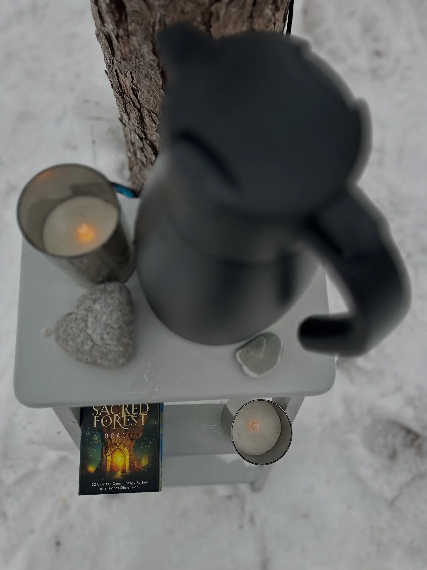 Beautiful Day to Rest!
It&rsquo;s my birth tree month, so naturally we needed sweet treats and tea for this Healing Hammocks. 

Thank you to @mandy_sandbach for sharing your delicious sourdough cinnamon buns + @cindy.l.powers for wildcrafting a speci