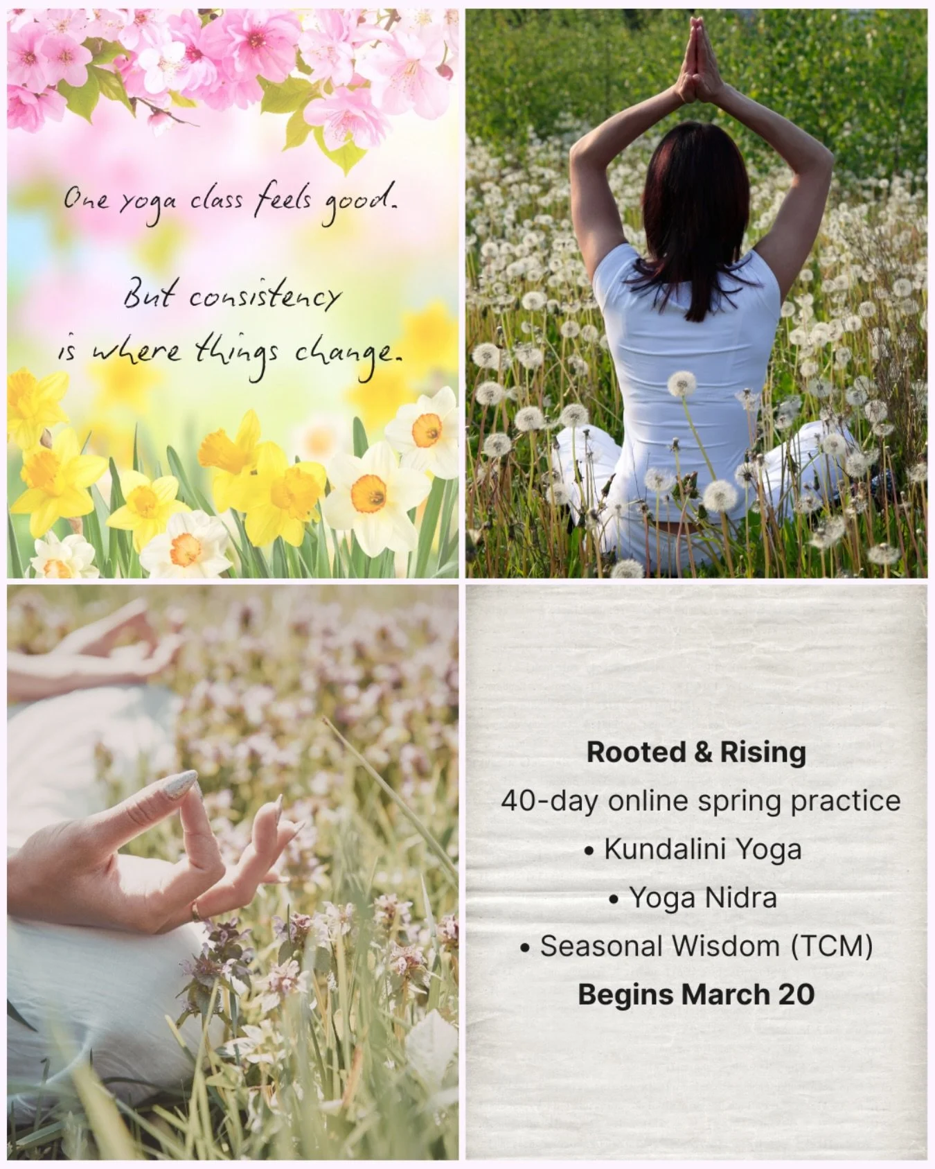 In many traditions, forty days appears again and again&hellip;

Forty days of retreat.
Forty days of practice.

Long enough for the nervous system to shift into a new rhythm.

Rooted &amp; Rising follows this path 🌿

Join me, alongside many beautifu