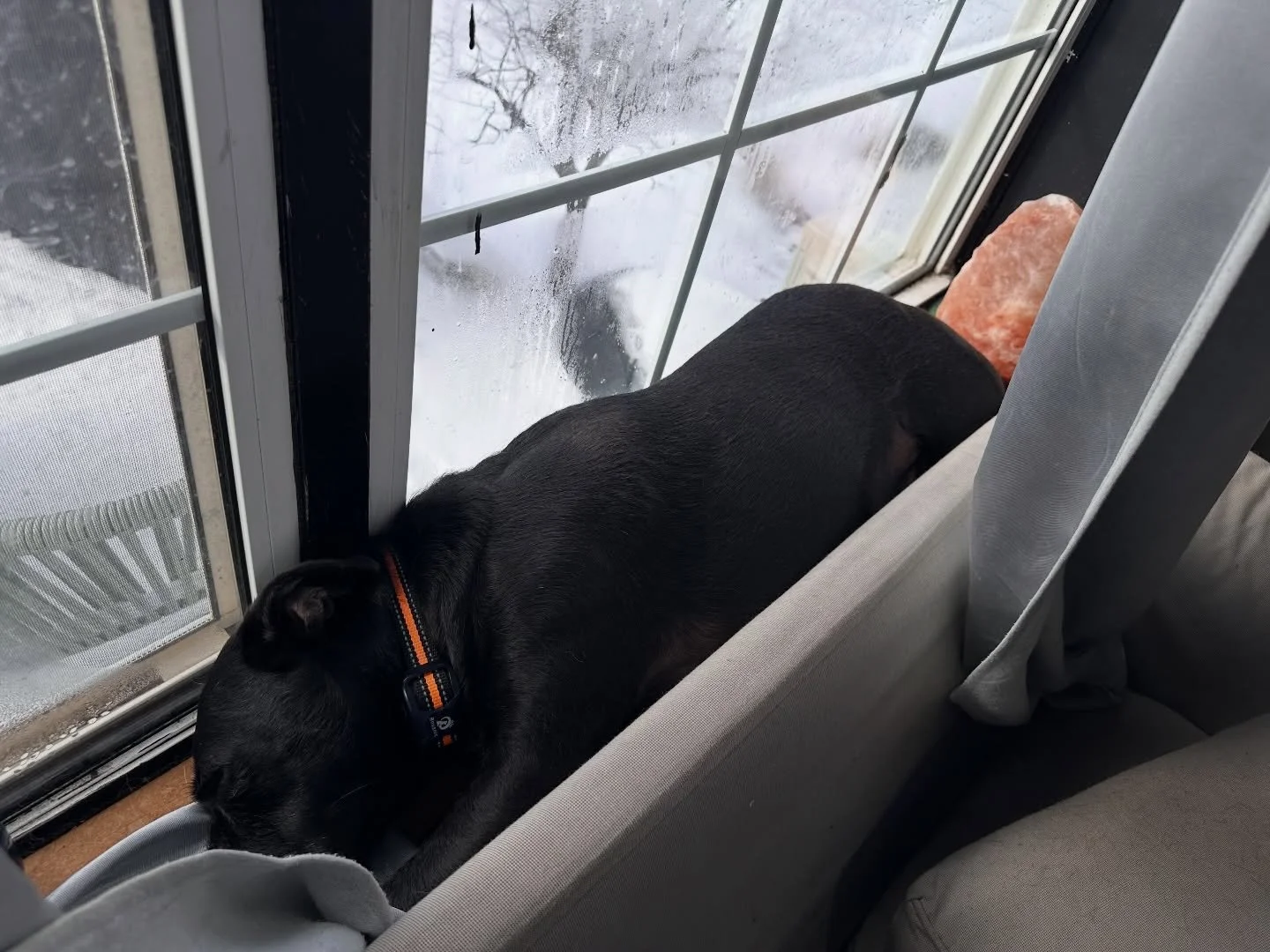 When your spirit animal is a cat&hellip;even the smallest ledge can hold deep rest 🤍😊😴🙏🏼
.
A new thing for Finny 😆 
He makes me smile daily 🥰

#deeprest #yoganidra #lovelife #funny