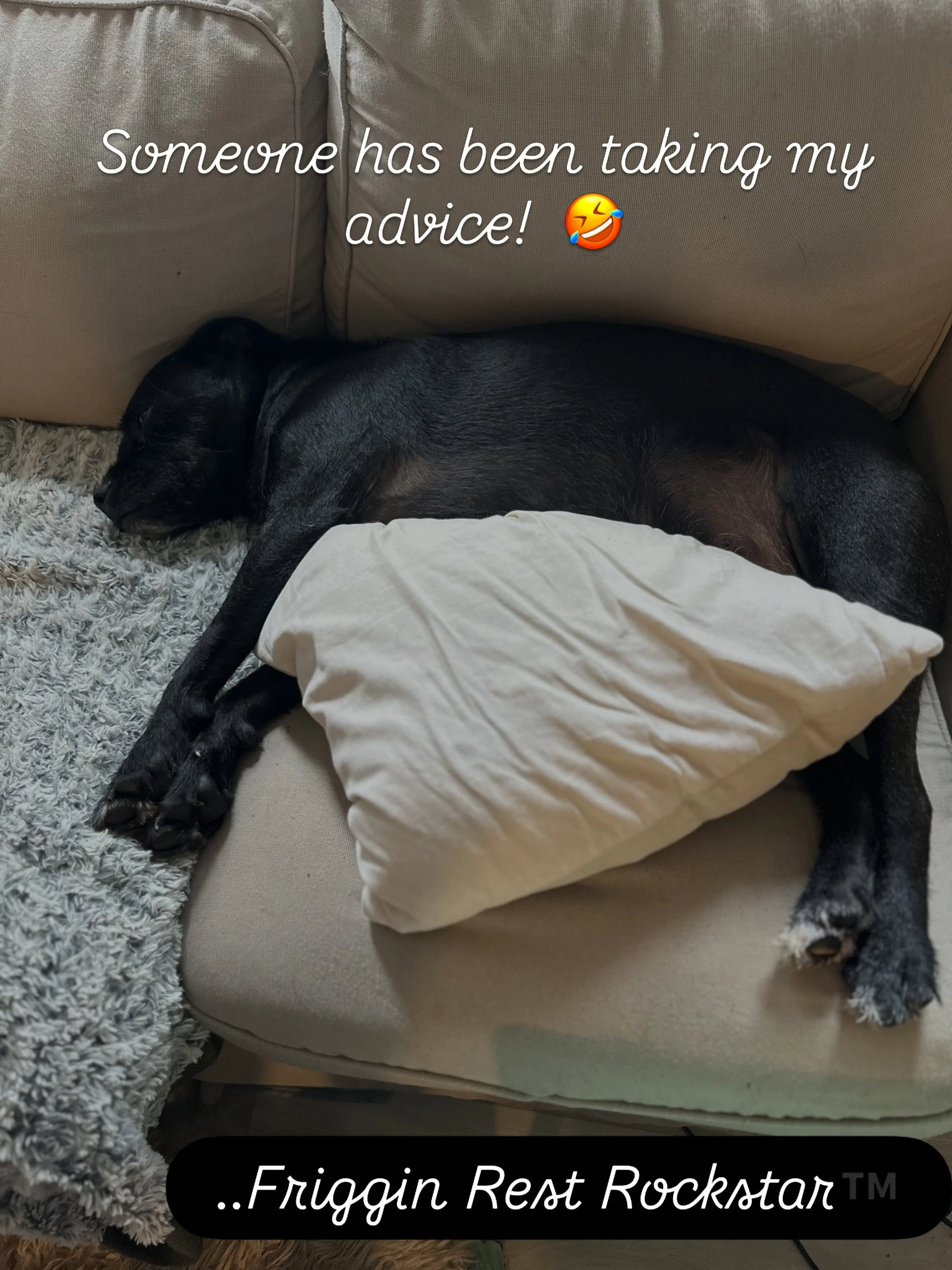 Pillows for comfort 👌🏼
🥰
Finny The Friggin Rest Rockstar&trade;️