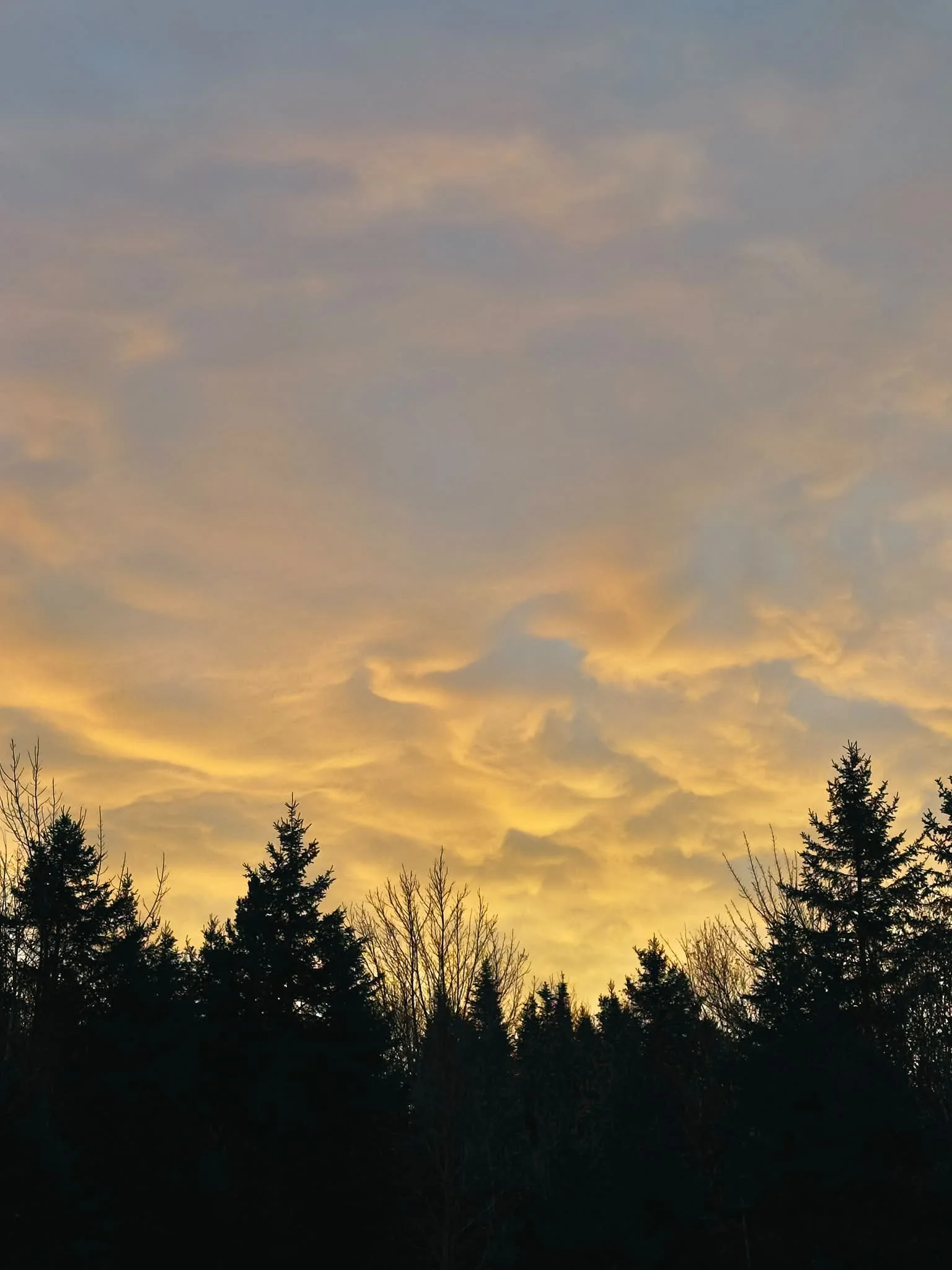 Good Morning!
Golden Clouds are whispering..